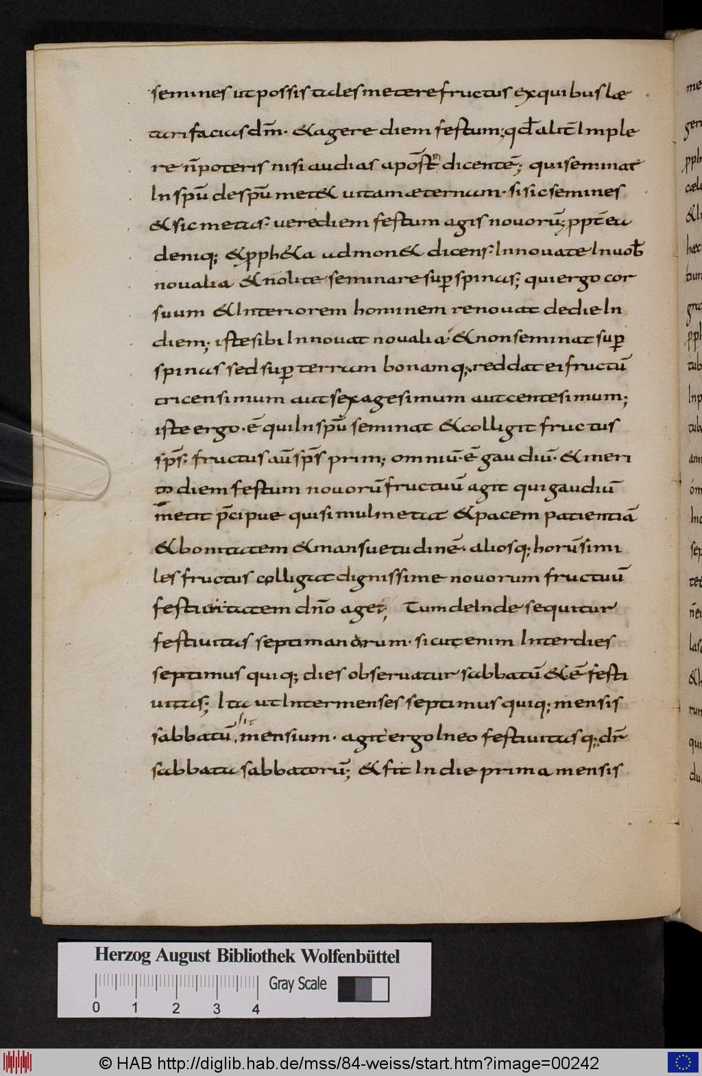 http://diglib.hab.de/mss/84-weiss/00242.jpg
