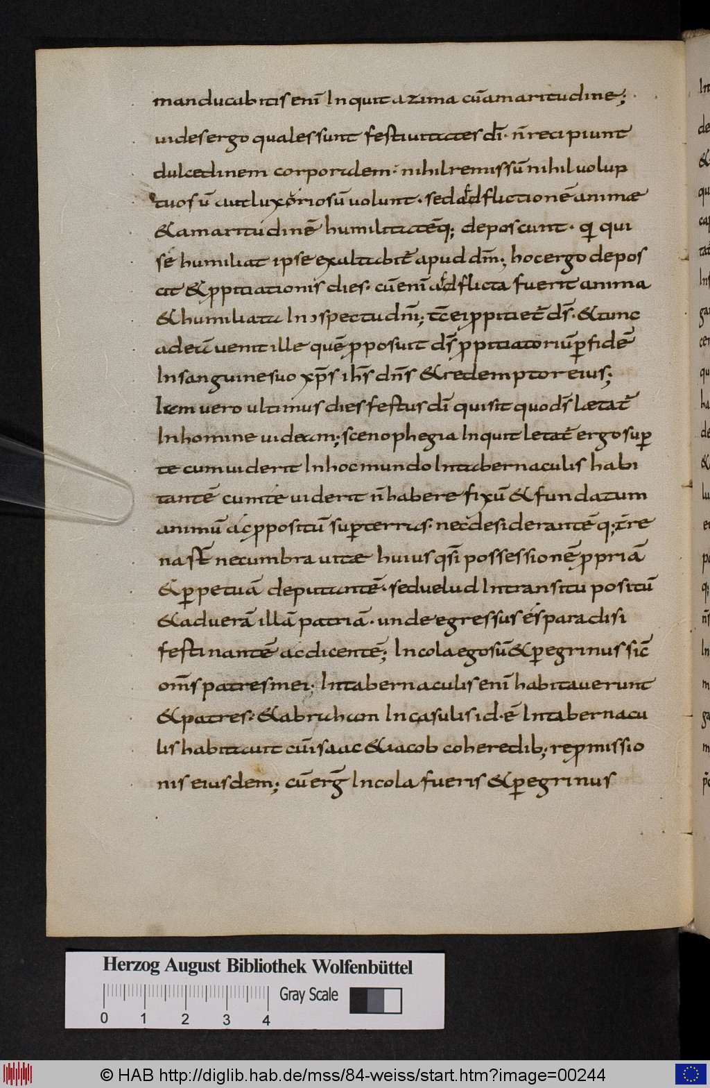 http://diglib.hab.de/mss/84-weiss/00244.jpg