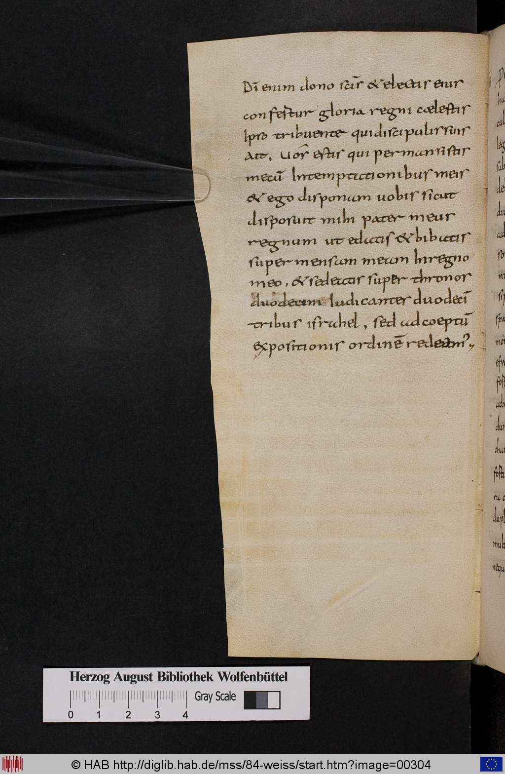 http://diglib.hab.de/mss/84-weiss/00304.jpg