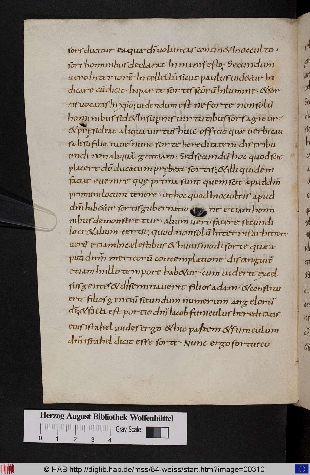 http://diglib.hab.de/mss/84-weiss/00310.jpg