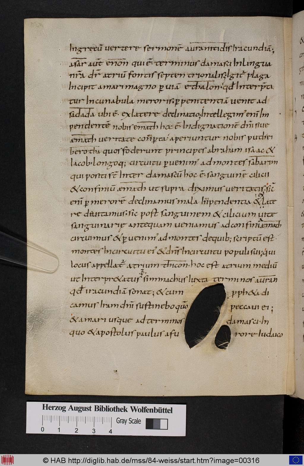 http://diglib.hab.de/mss/84-weiss/00316.jpg
