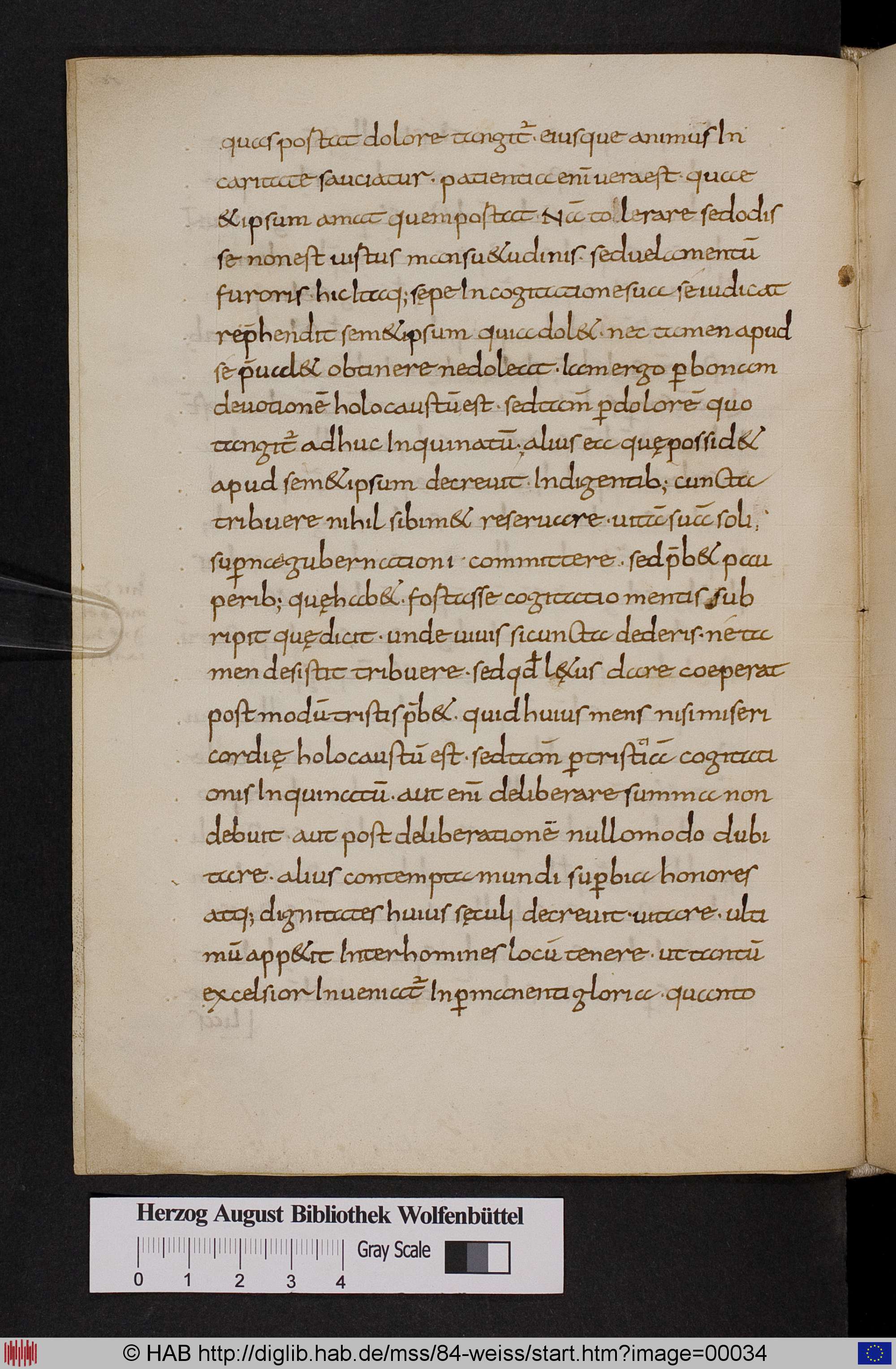 http://diglib.hab.de/mss/84-weiss/max/00034.jpg