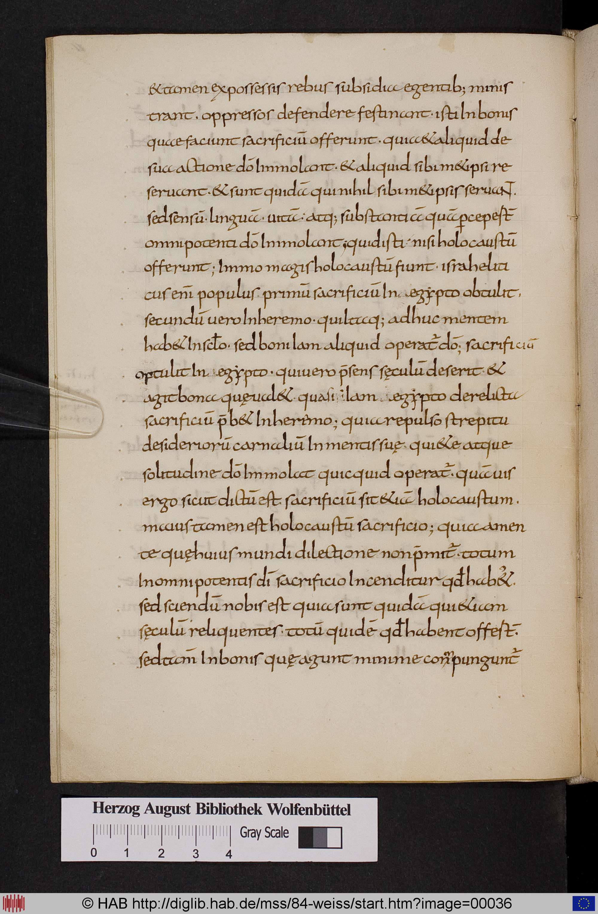 http://diglib.hab.de/mss/84-weiss/max/00036.jpg
