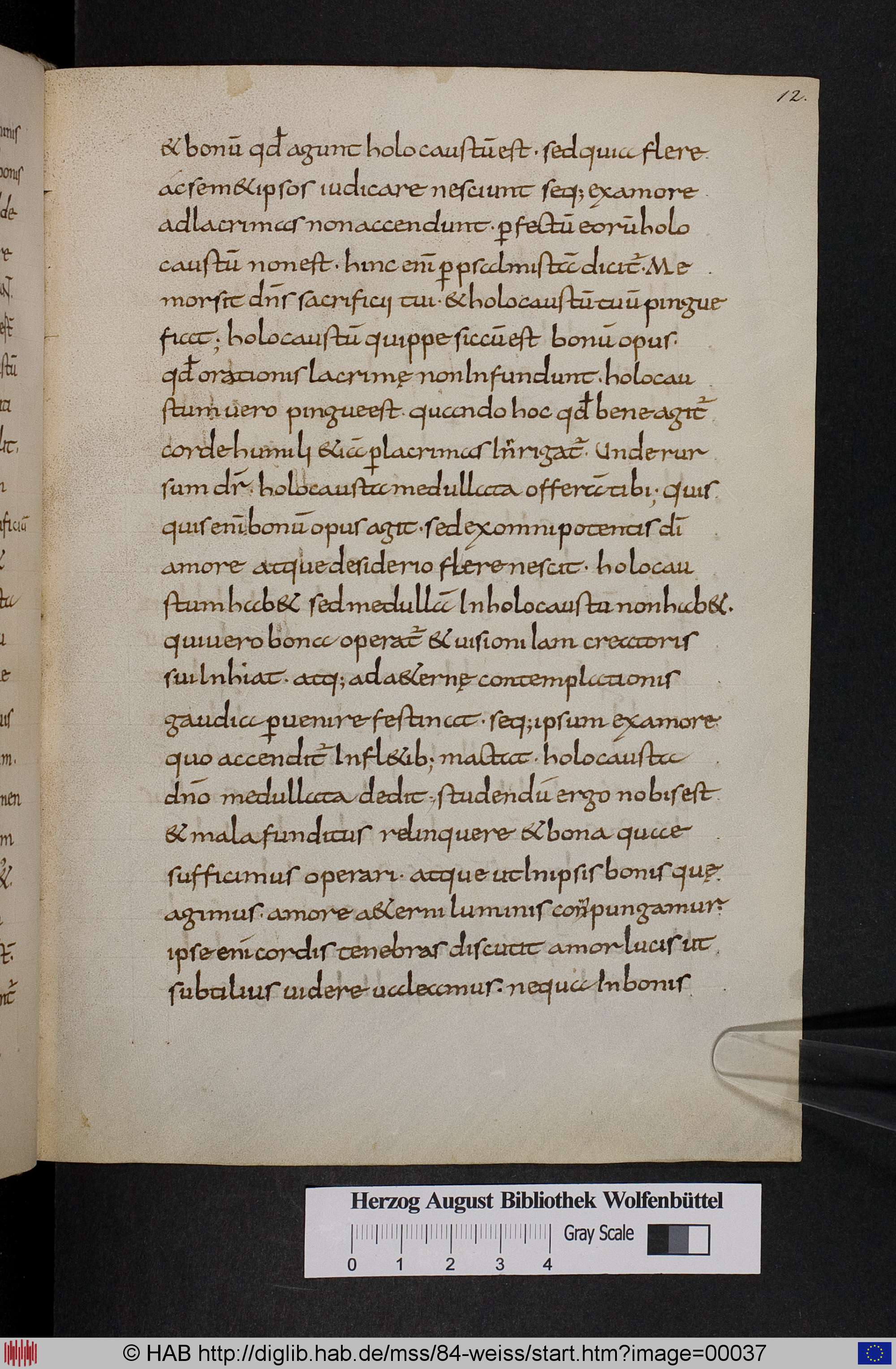 http://diglib.hab.de/mss/84-weiss/max/00037.jpg