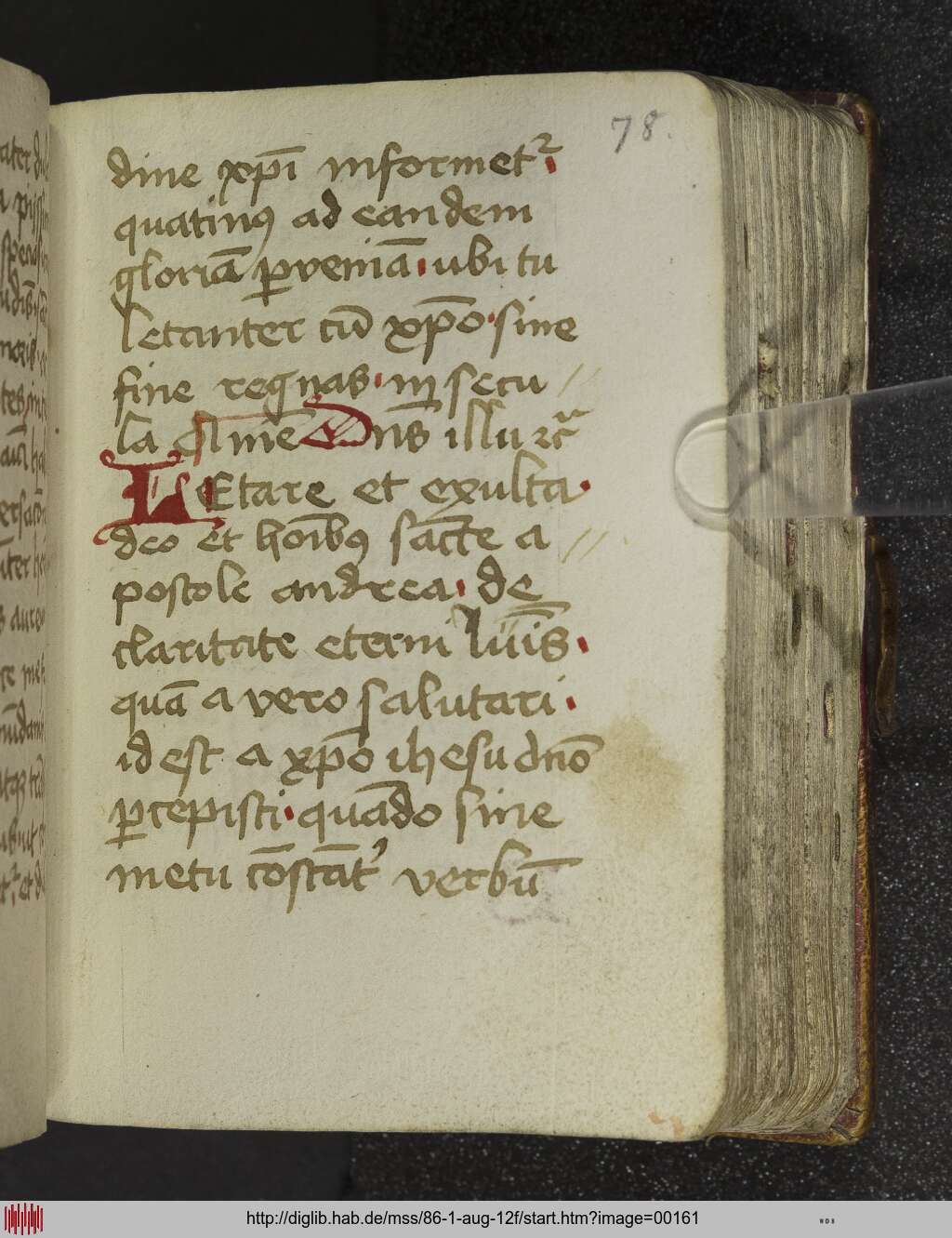 http://diglib.hab.de/mss/86-1-aug-12f/00161.jpg