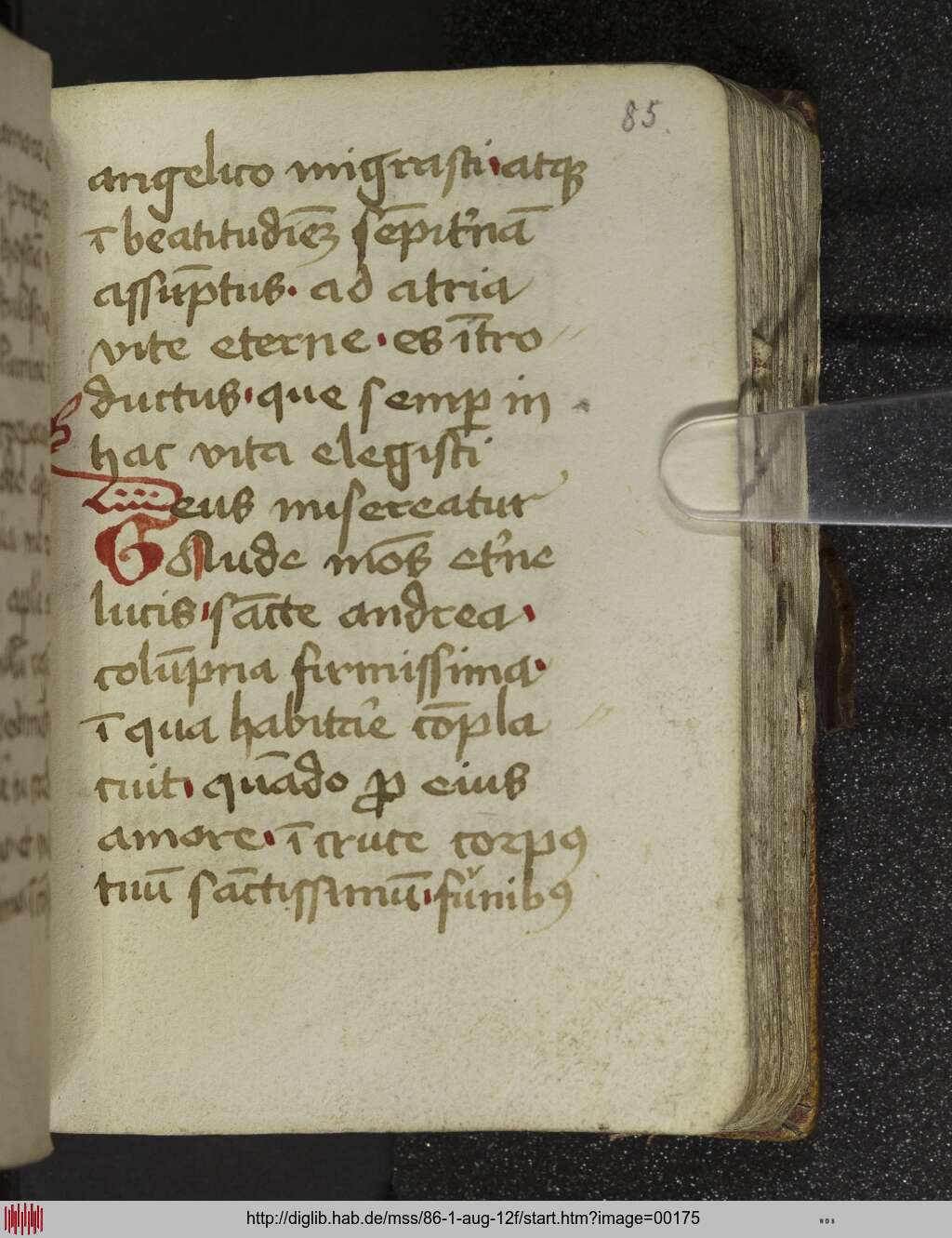 http://diglib.hab.de/mss/86-1-aug-12f/00175.jpg