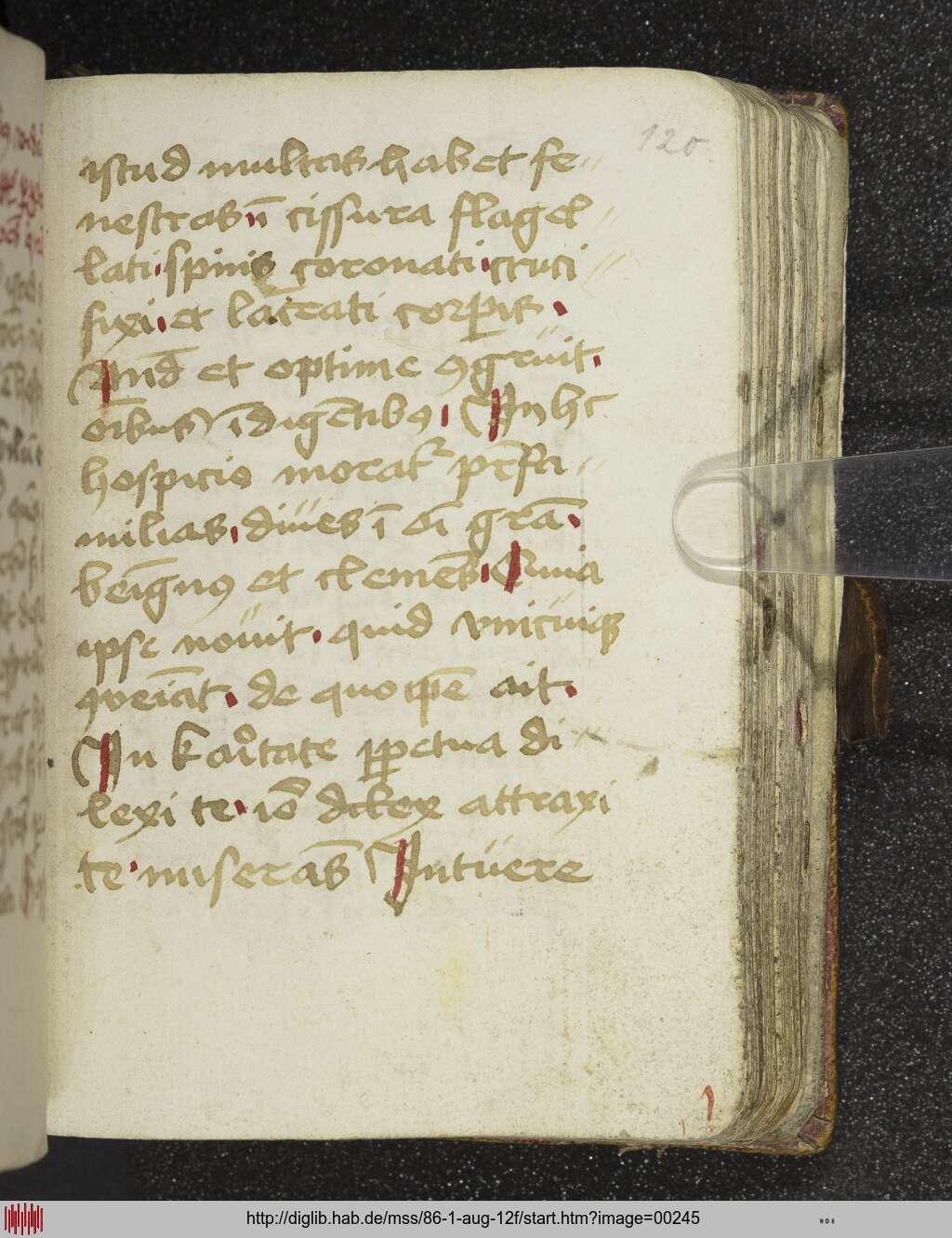 http://diglib.hab.de/mss/86-1-aug-12f/00245.jpg
