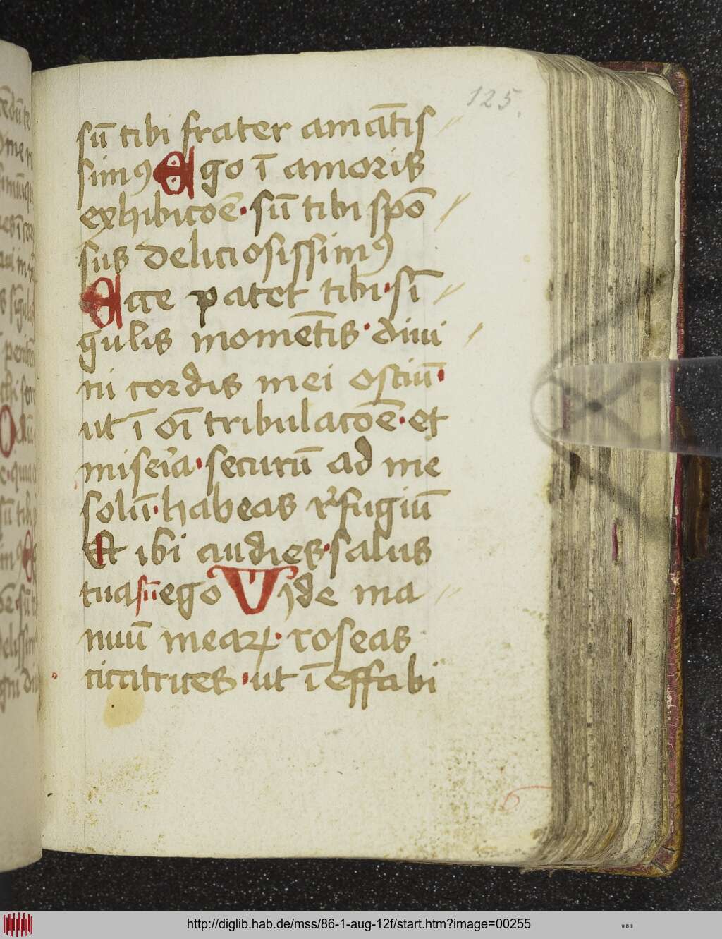 http://diglib.hab.de/mss/86-1-aug-12f/00255.jpg