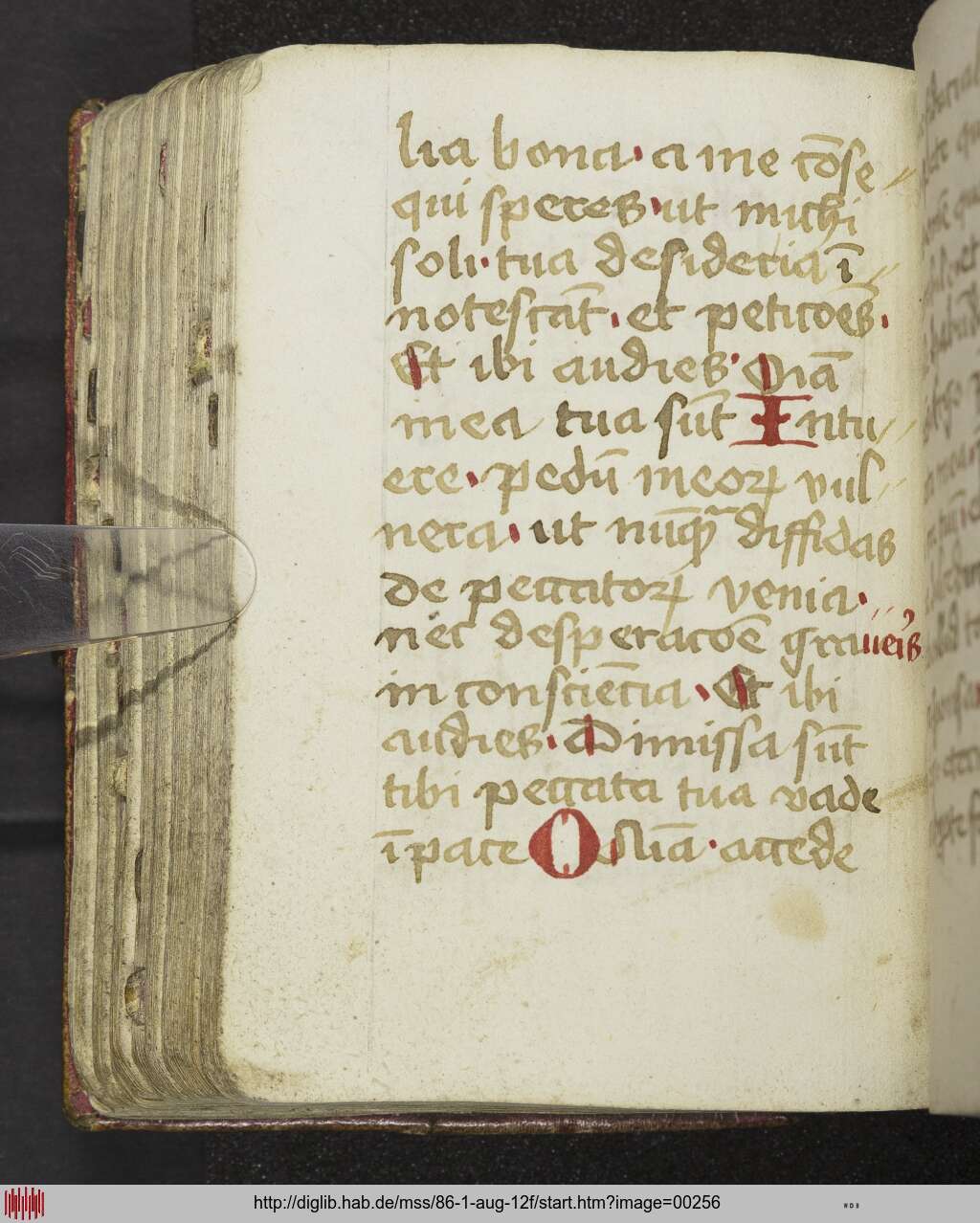 http://diglib.hab.de/mss/86-1-aug-12f/00256.jpg