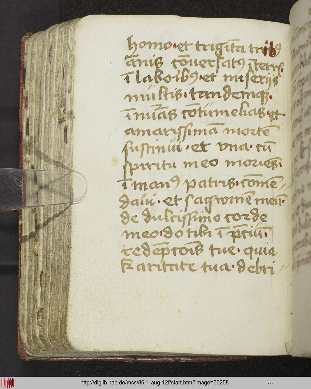 http://diglib.hab.de/mss/86-1-aug-12f/00258.jpg