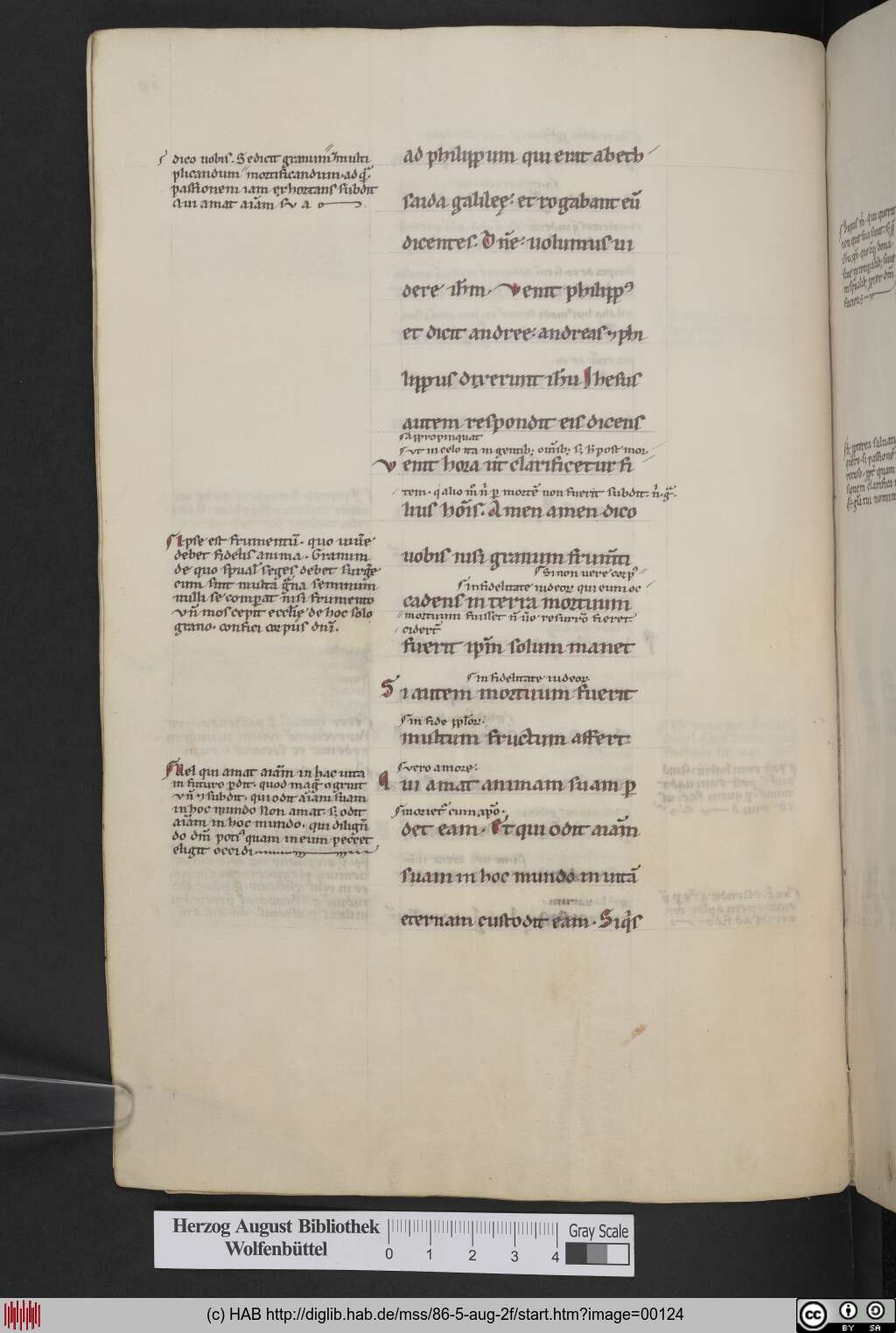 http://diglib.hab.de/mss/86-5-aug-2f/00124.jpg