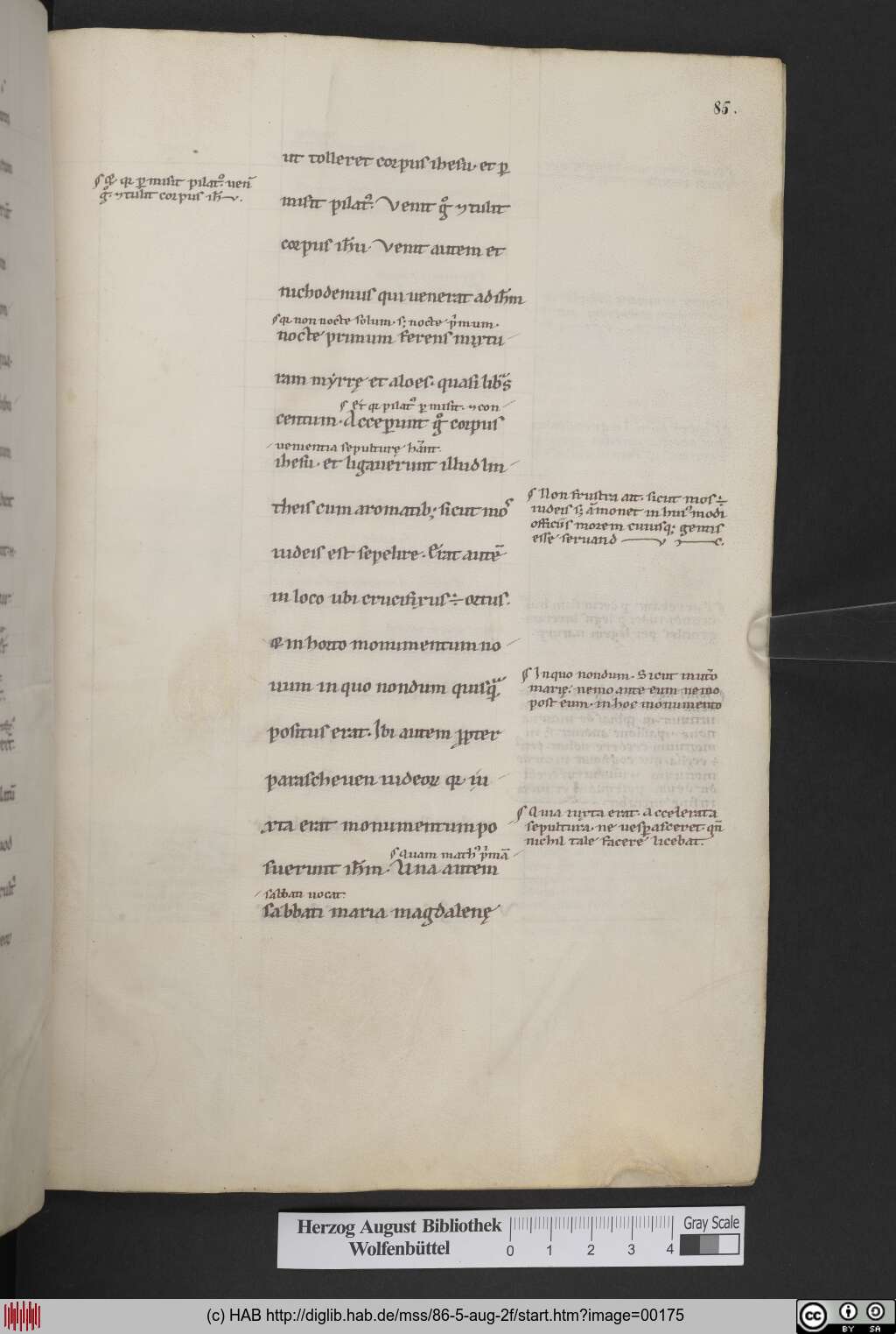 http://diglib.hab.de/mss/86-5-aug-2f/00175.jpg