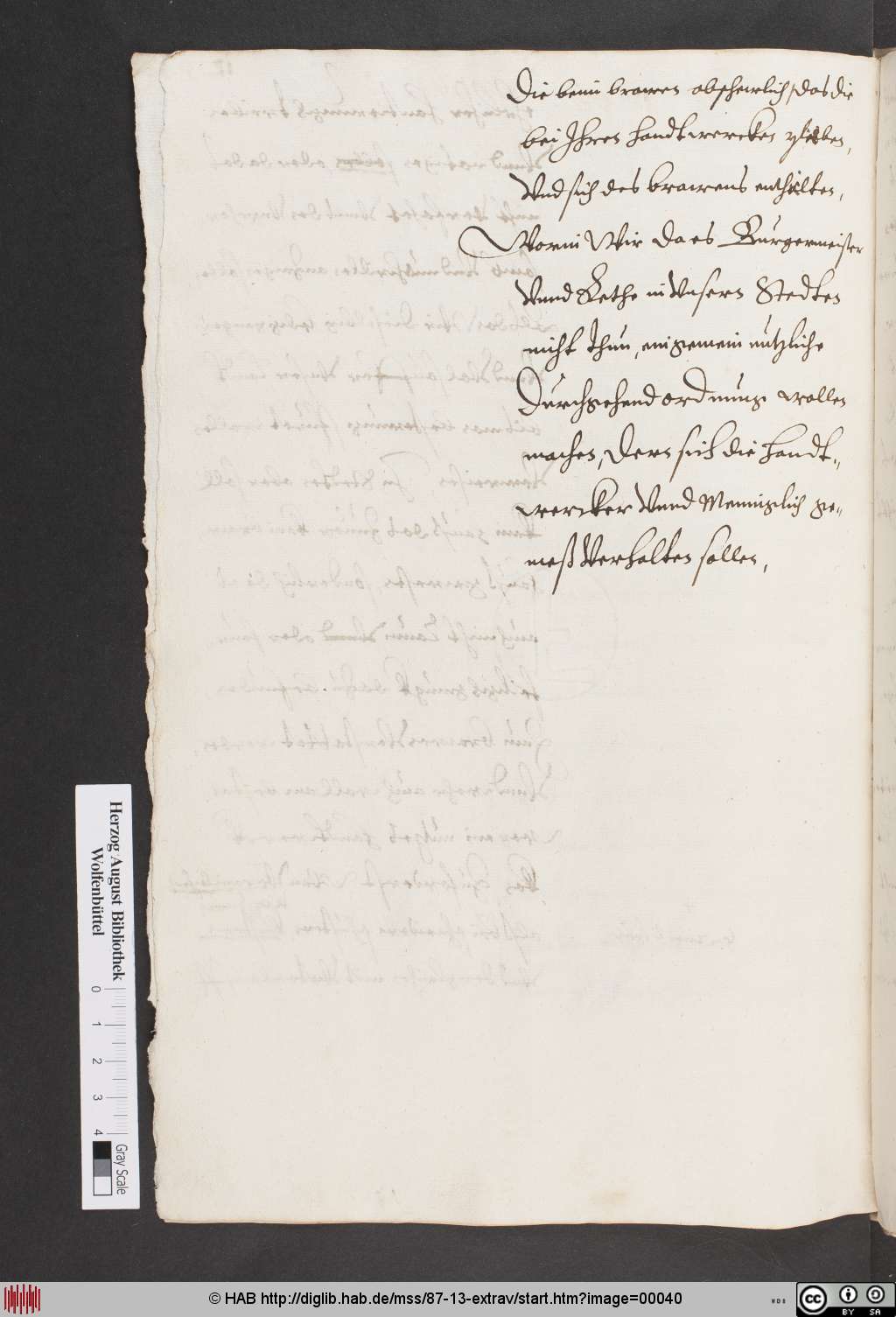 http://diglib.hab.de/mss/87-13-extrav/00040.jpg