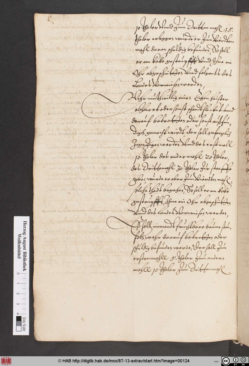 http://diglib.hab.de/mss/87-13-extrav/00124.jpg