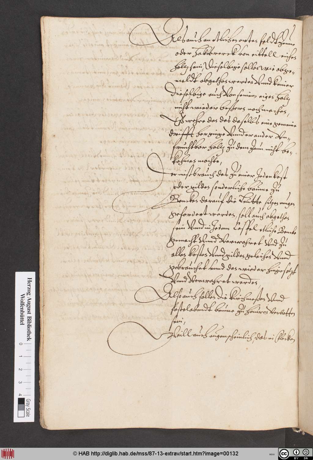 http://diglib.hab.de/mss/87-13-extrav/00132.jpg