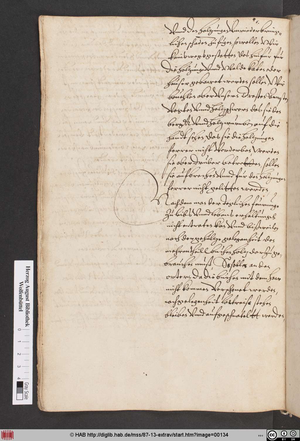 http://diglib.hab.de/mss/87-13-extrav/00134.jpg