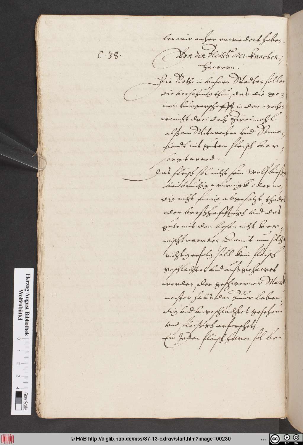 http://diglib.hab.de/mss/87-13-extrav/00230.jpg
