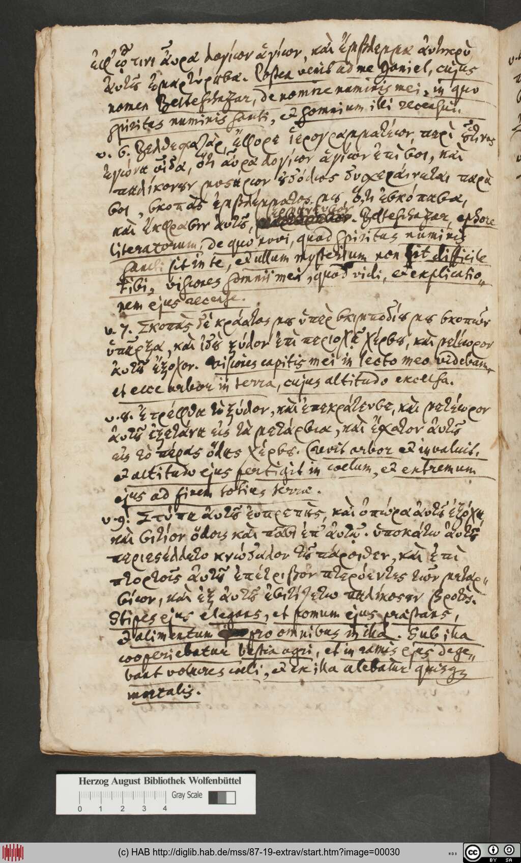 http://diglib.hab.de/mss/87-19-extrav/00030.jpg