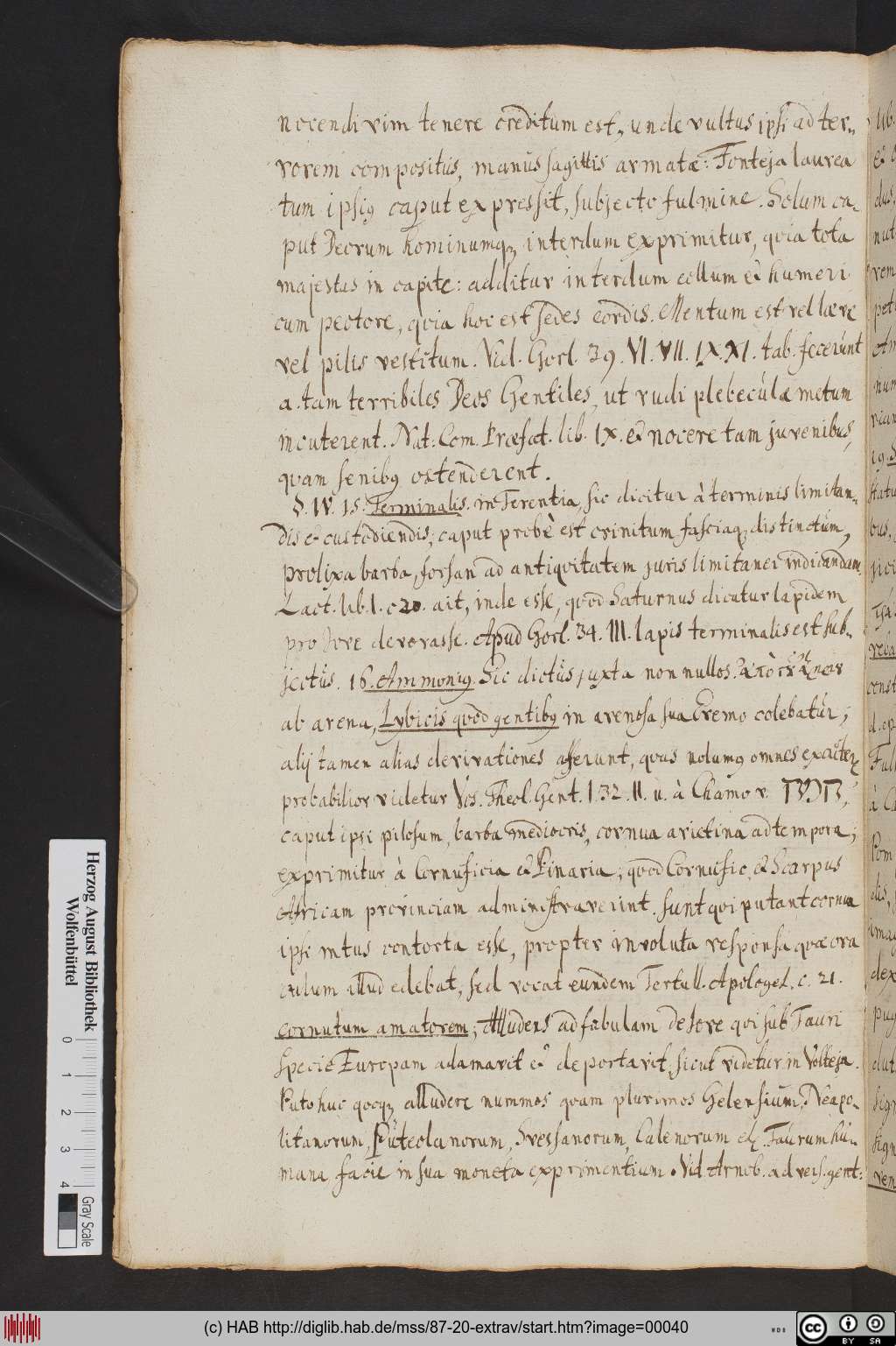 http://diglib.hab.de/mss/87-20-extrav/00040.jpg