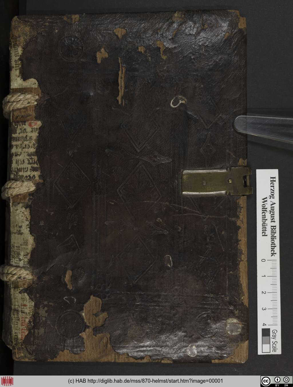 http://diglib.hab.de/mss/870-helmst/00001.jpg