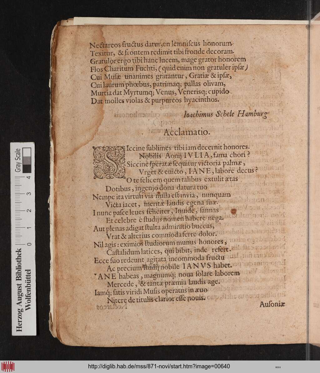 http://diglib.hab.de/mss/871-novi/00640.jpg