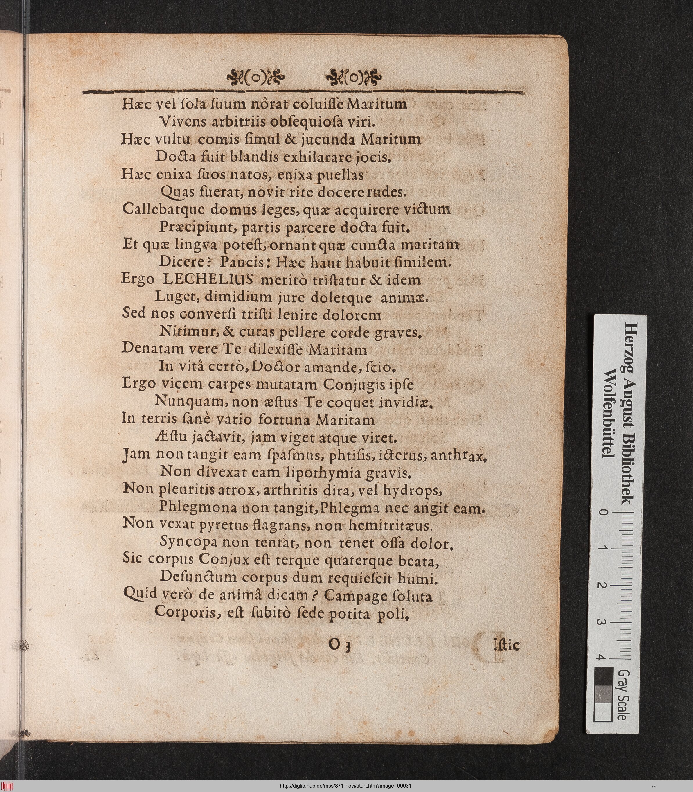 http://diglib.hab.de/mss/871-novi/max/00031.jpg