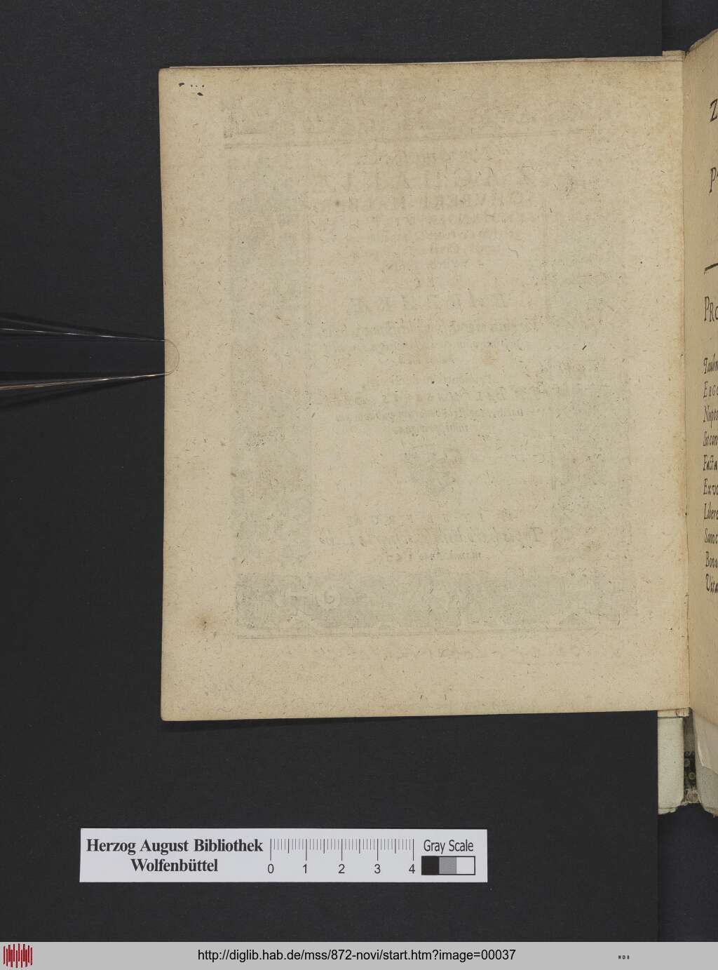 http://diglib.hab.de/mss/872-novi/00037.jpg