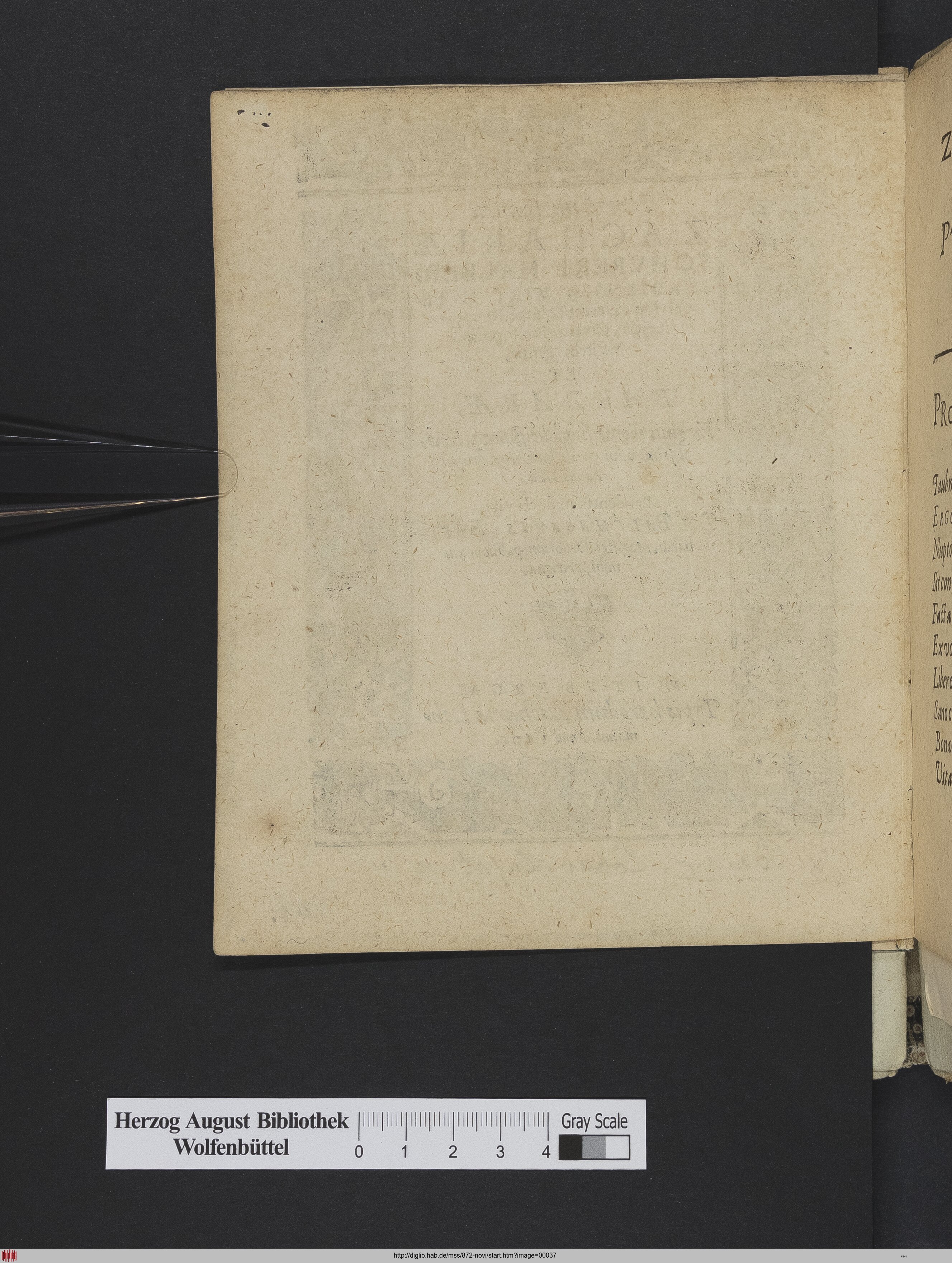 http://diglib.hab.de/mss/872-novi/max/00037.jpg