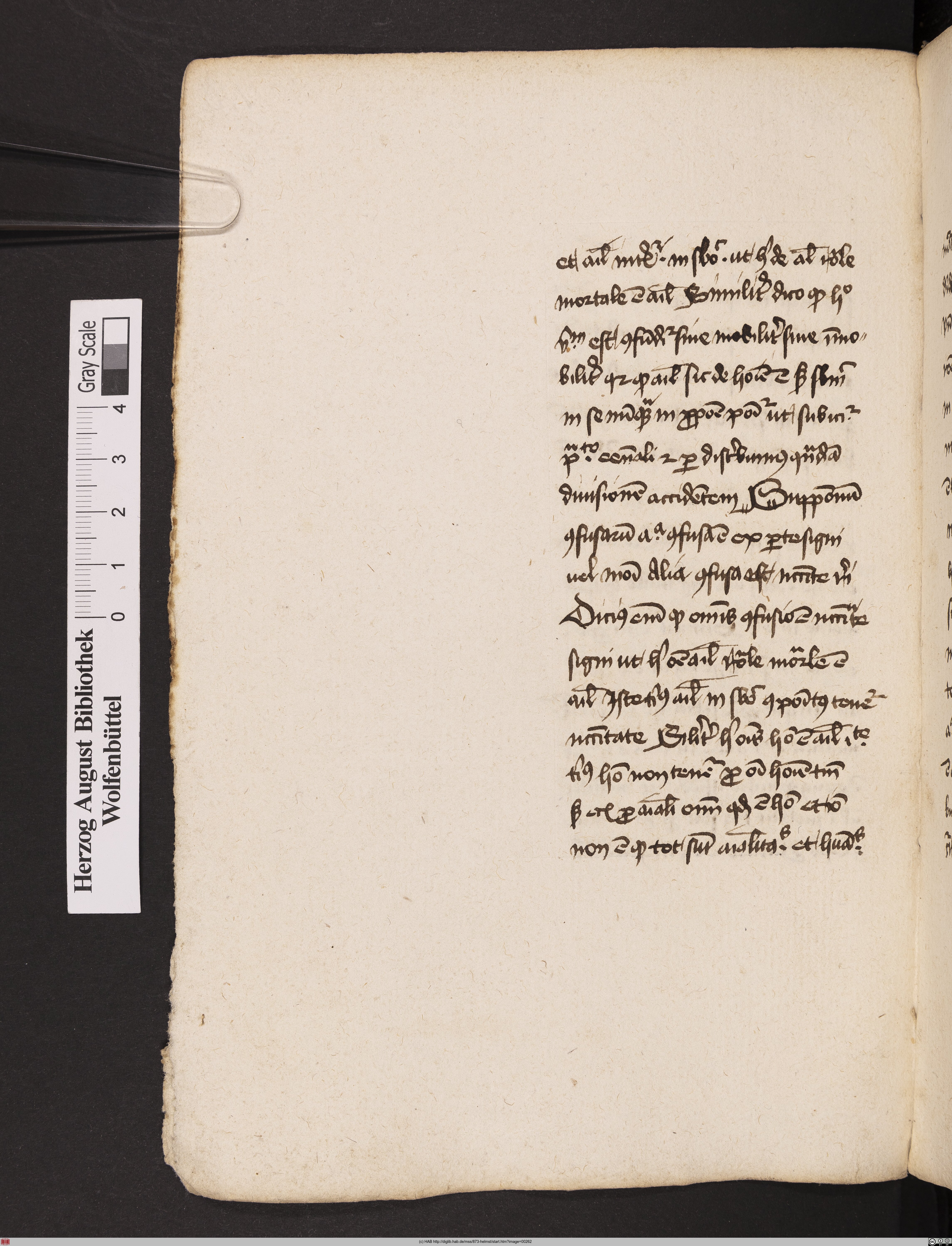 http://diglib.hab.de/mss/873-helmst/max/00262.jpg