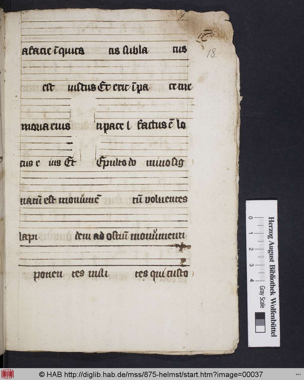 http://diglib.hab.de/mss/875-helmst/00037.jpg