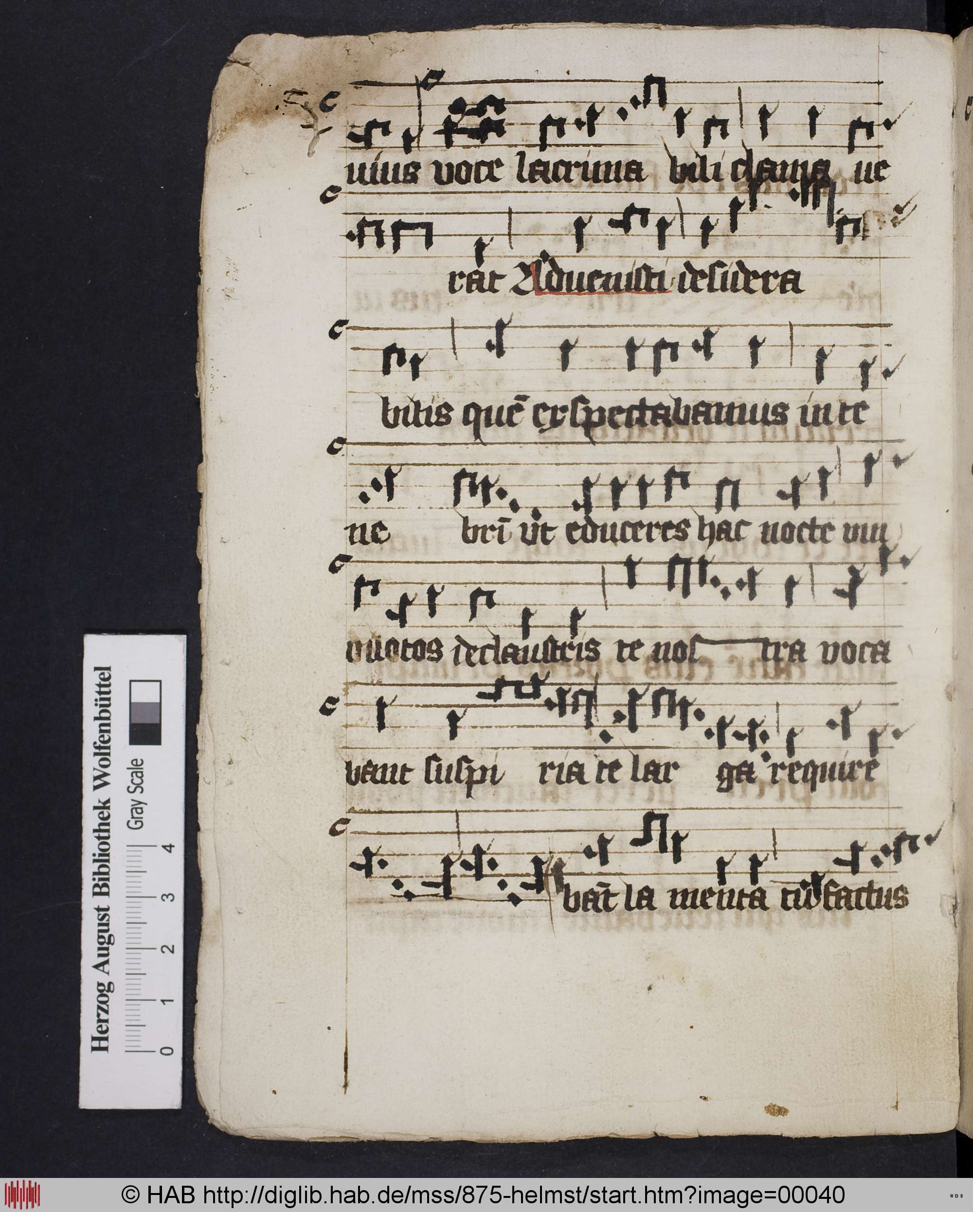 http://diglib.hab.de/mss/875-helmst/max/00040.jpg