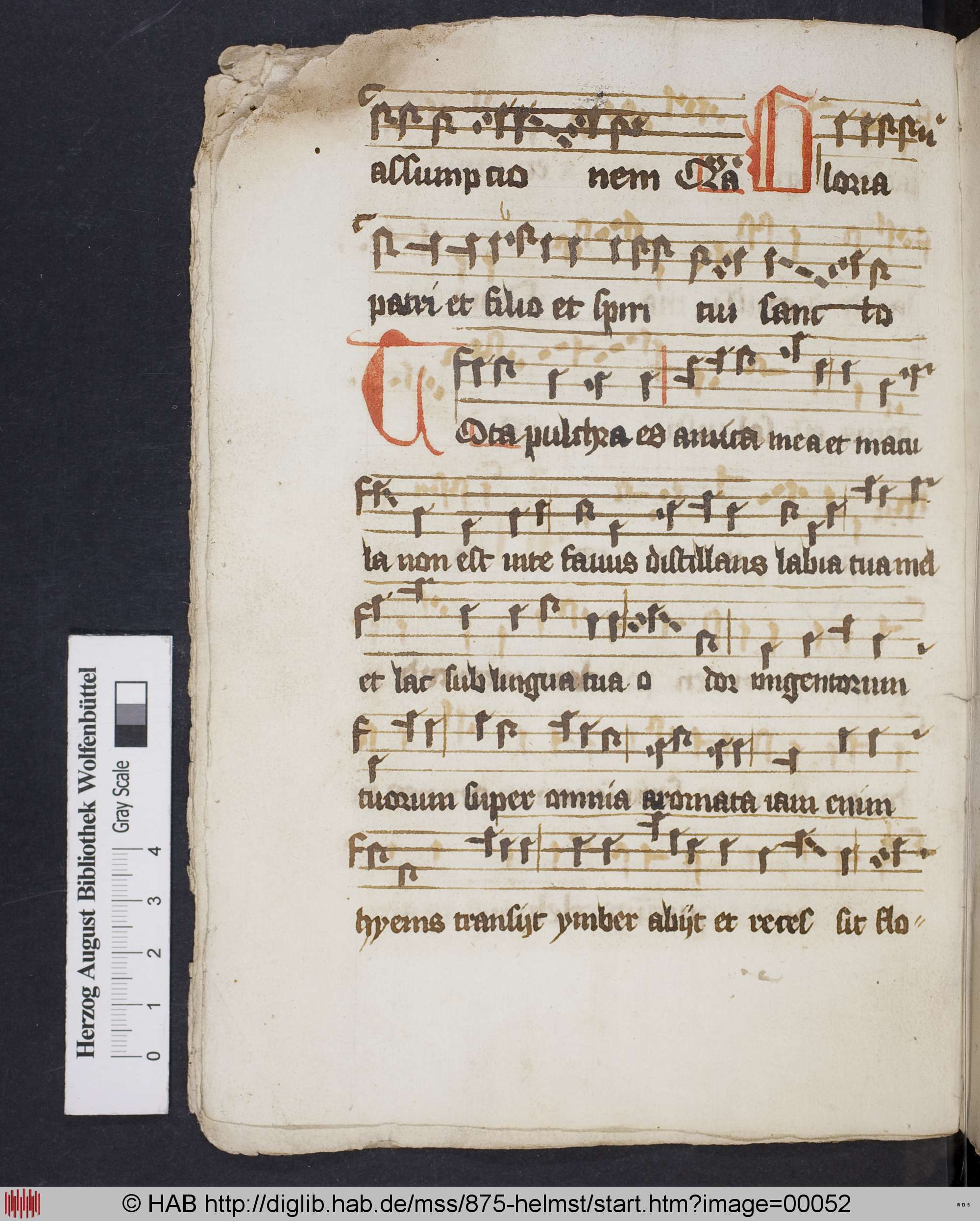 http://diglib.hab.de/mss/875-helmst/max/00052.jpg