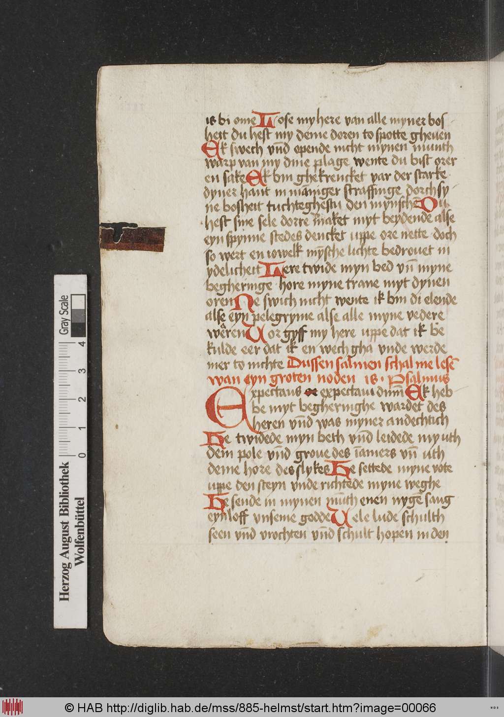 http://diglib.hab.de/mss/885-helmst/00066.jpg