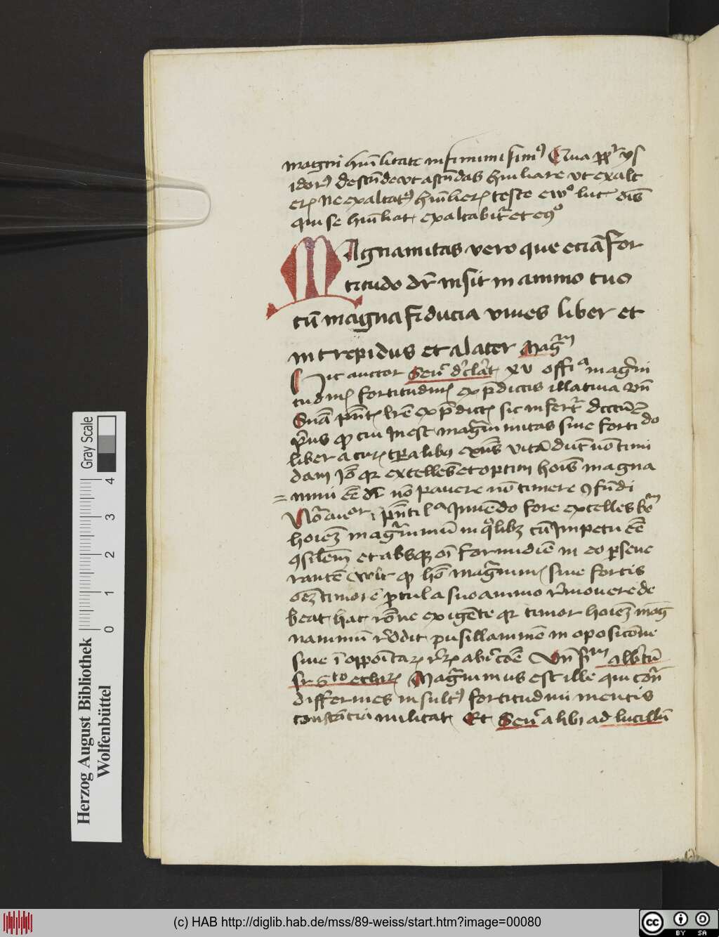 http://diglib.hab.de/mss/89-weiss/00080.jpg