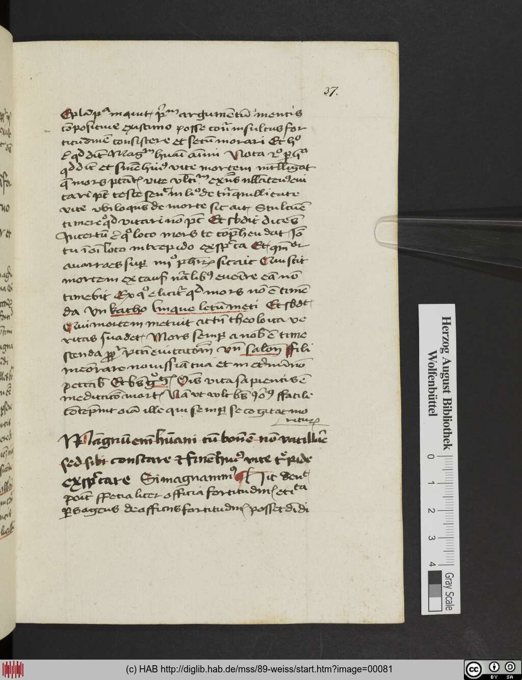 http://diglib.hab.de/mss/89-weiss/00081.jpg