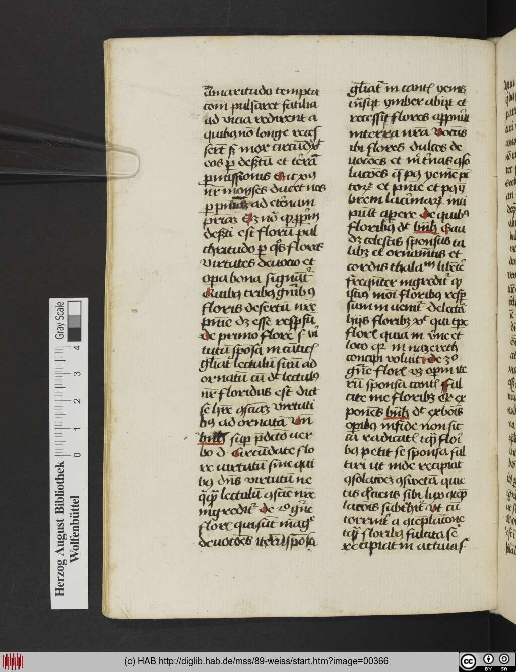 http://diglib.hab.de/mss/89-weiss/00366.jpg