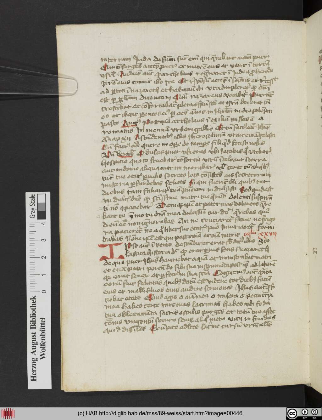 http://diglib.hab.de/mss/89-weiss/00446.jpg