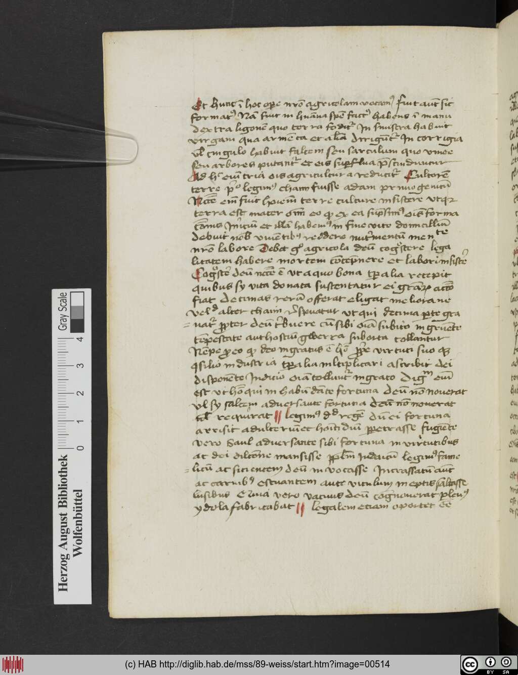 http://diglib.hab.de/mss/89-weiss/00514.jpg