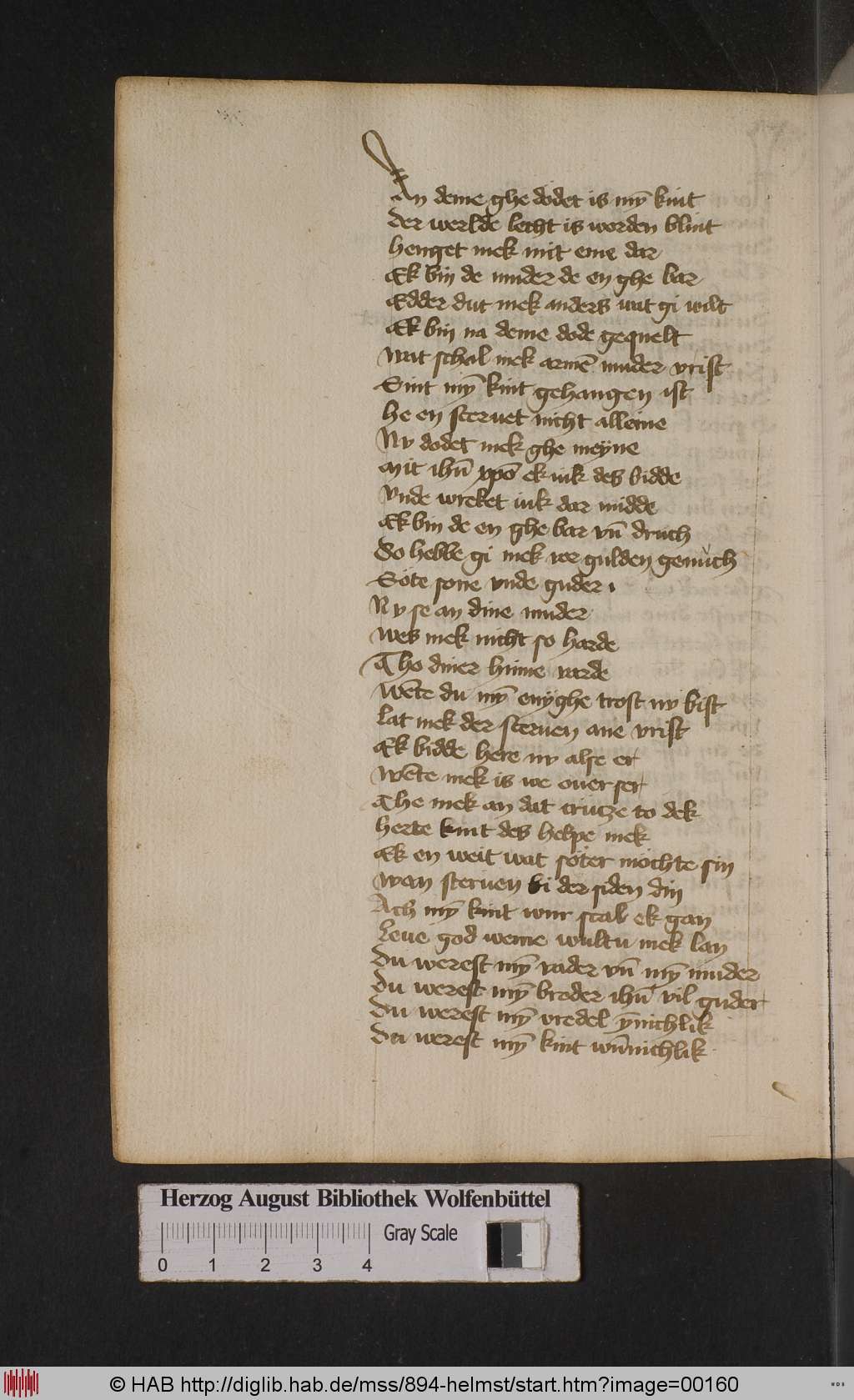 http://diglib.hab.de/mss/894-helmst/00160.jpg