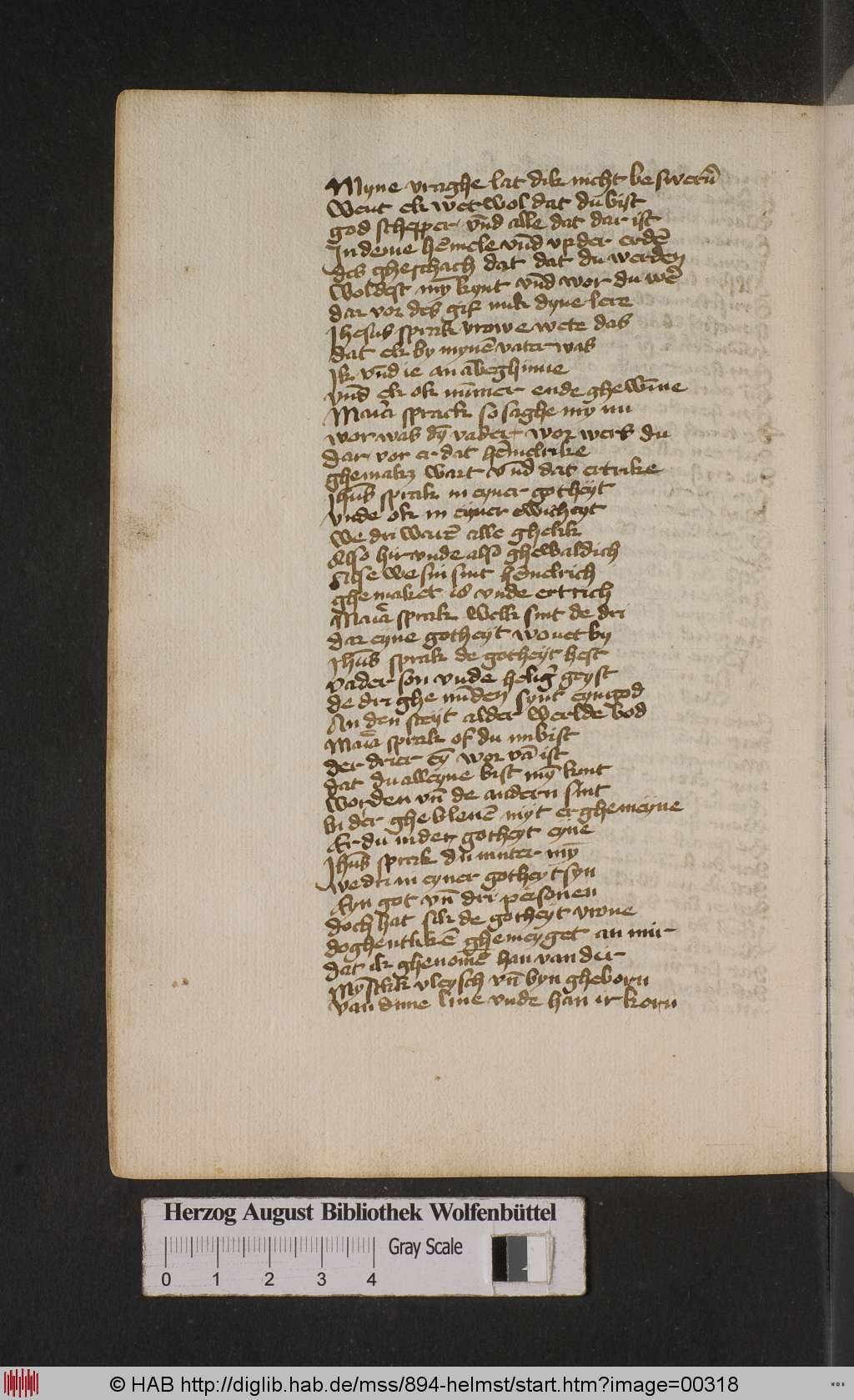 http://diglib.hab.de/mss/894-helmst/00318.jpg