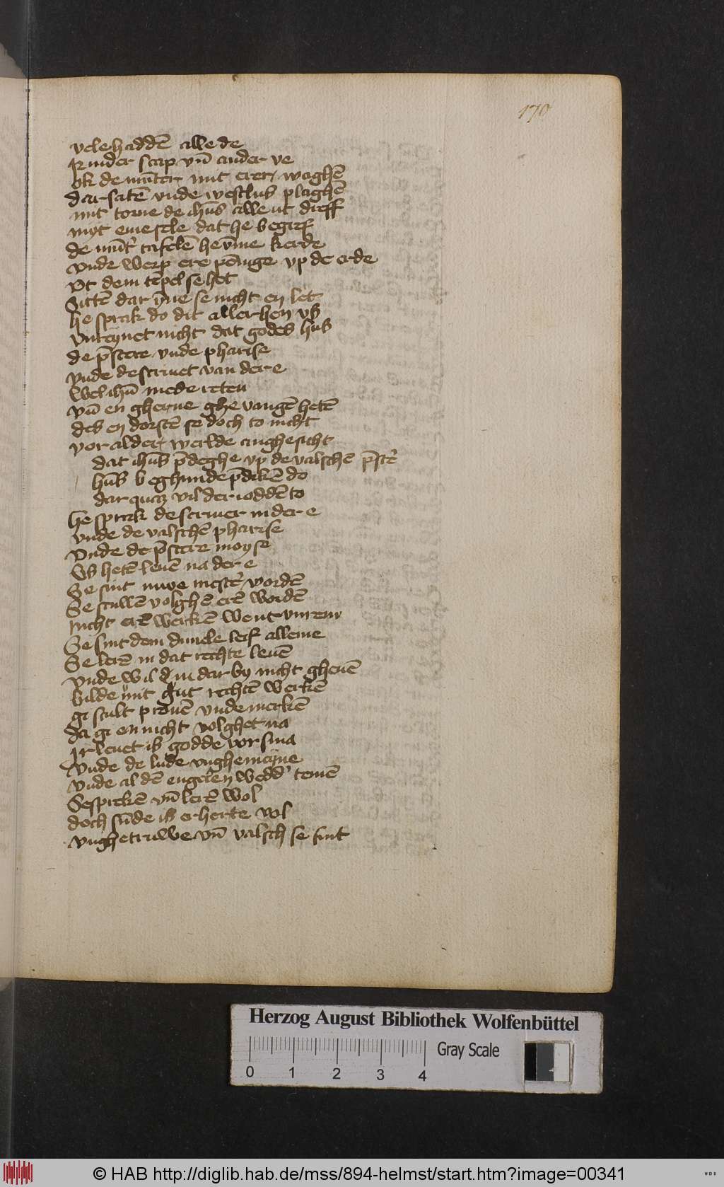 http://diglib.hab.de/mss/894-helmst/00341.jpg