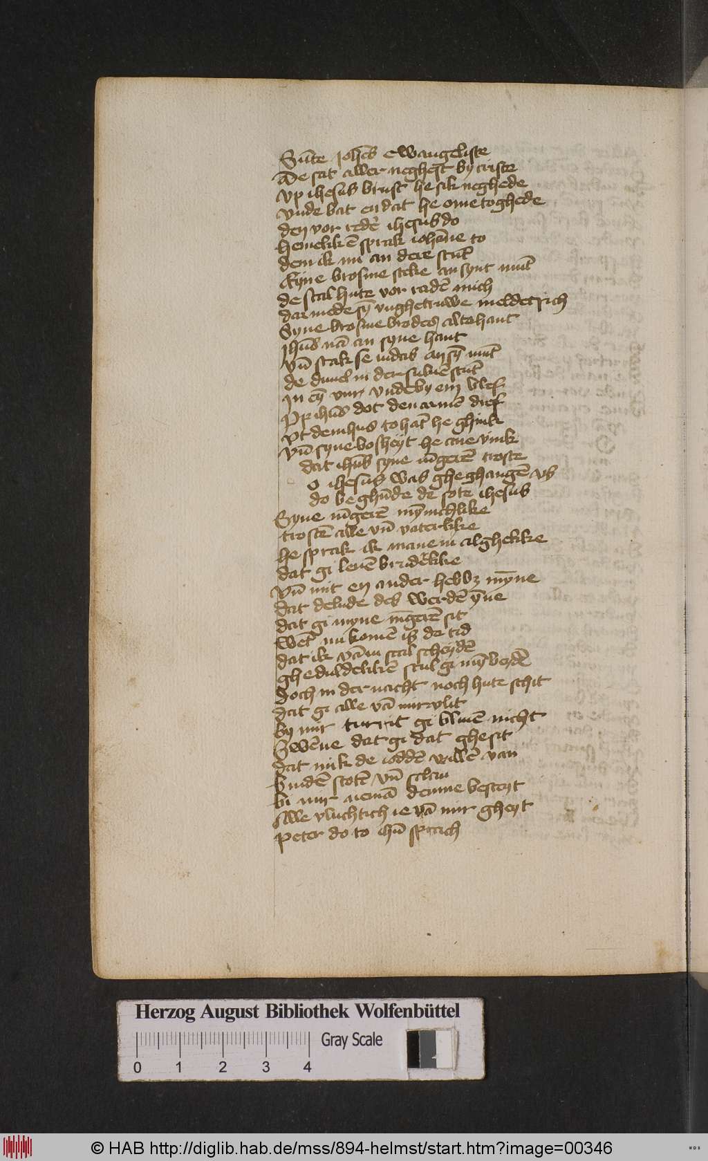 http://diglib.hab.de/mss/894-helmst/00346.jpg