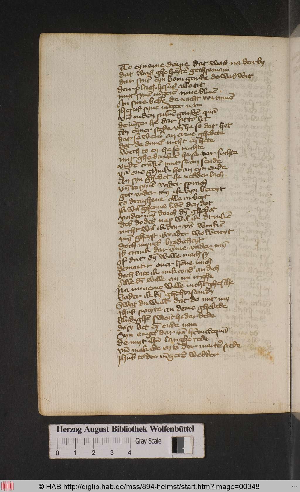 http://diglib.hab.de/mss/894-helmst/00348.jpg