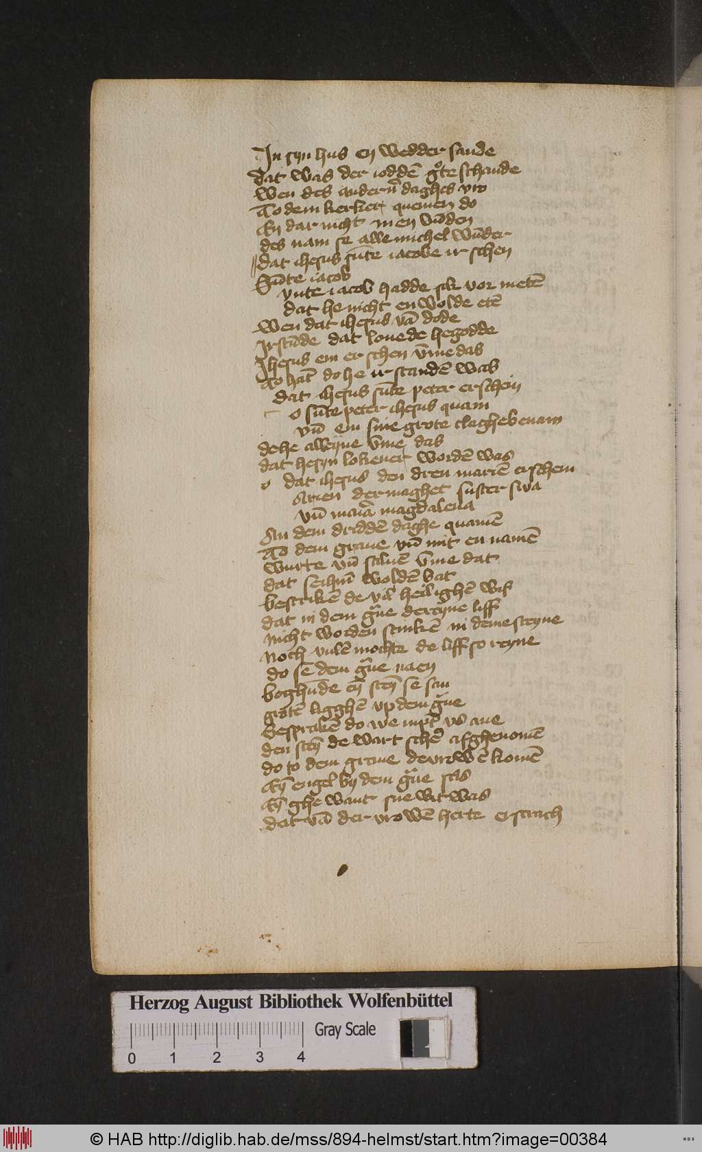 http://diglib.hab.de/mss/894-helmst/00384.jpg