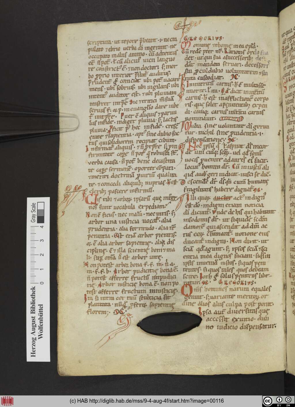 http://diglib.hab.de/mss/9-4-aug-4f/00116.jpg