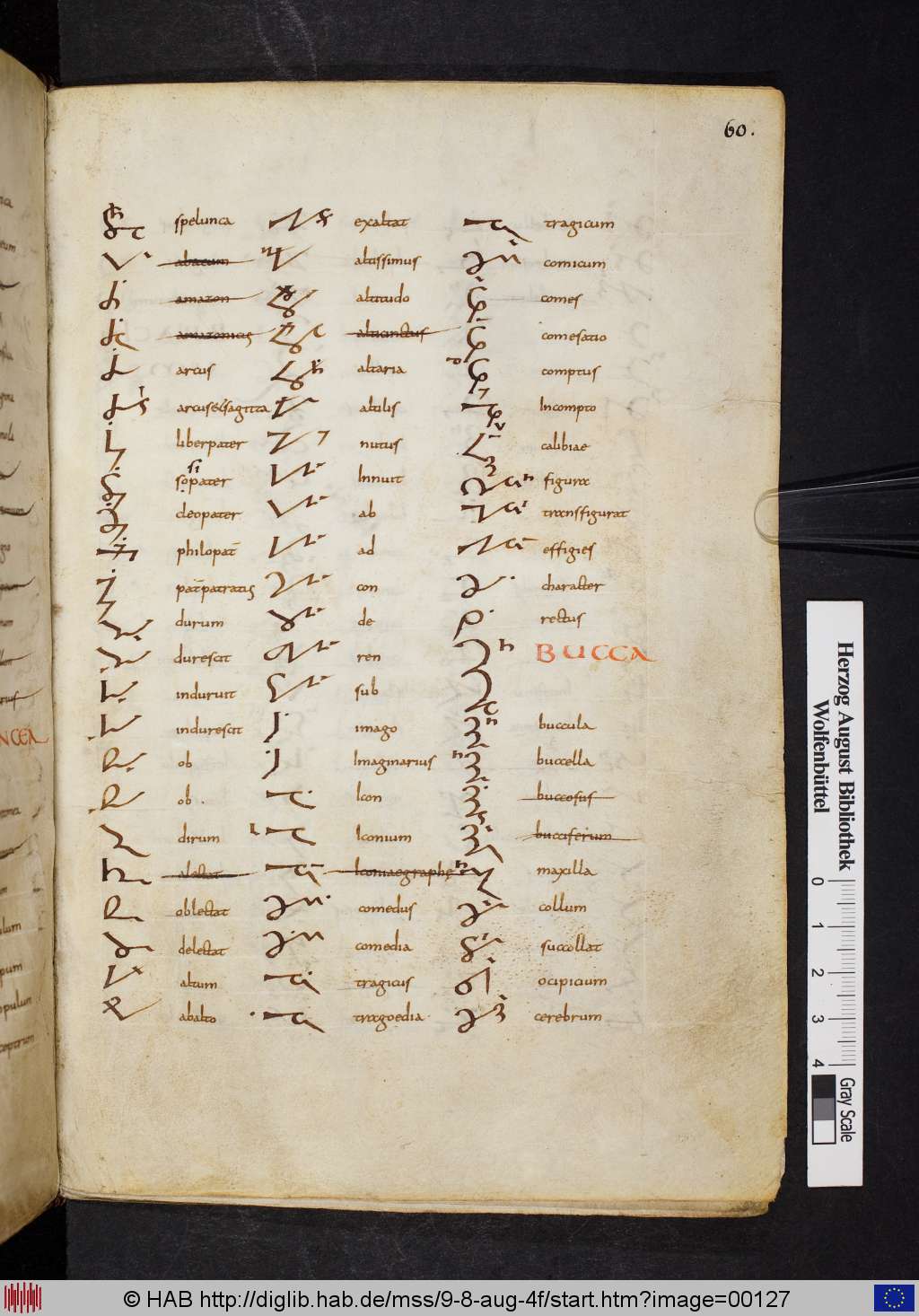 http://diglib.hab.de/mss/9-8-aug-4f/00127.jpg