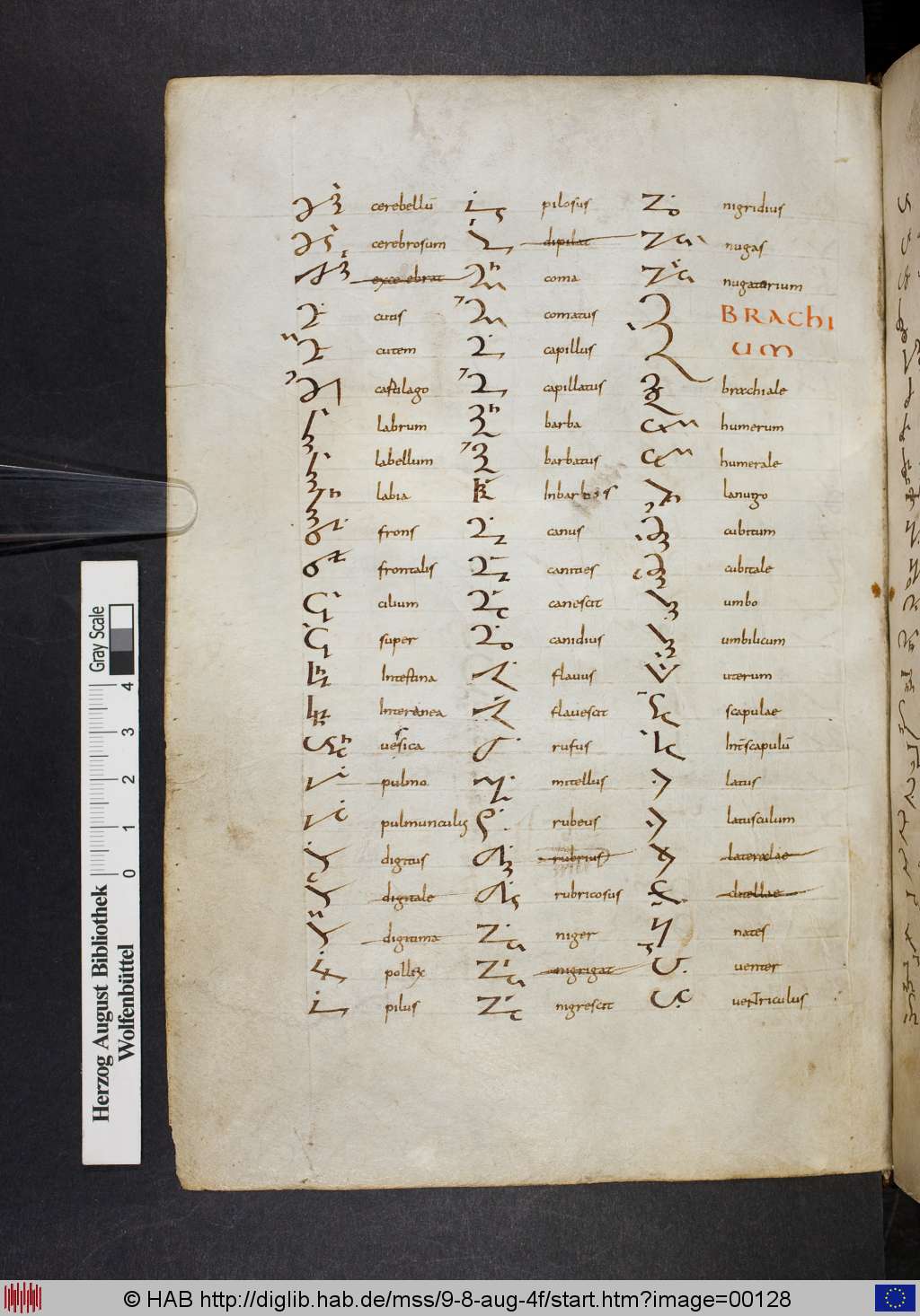 http://diglib.hab.de/mss/9-8-aug-4f/00128.jpg