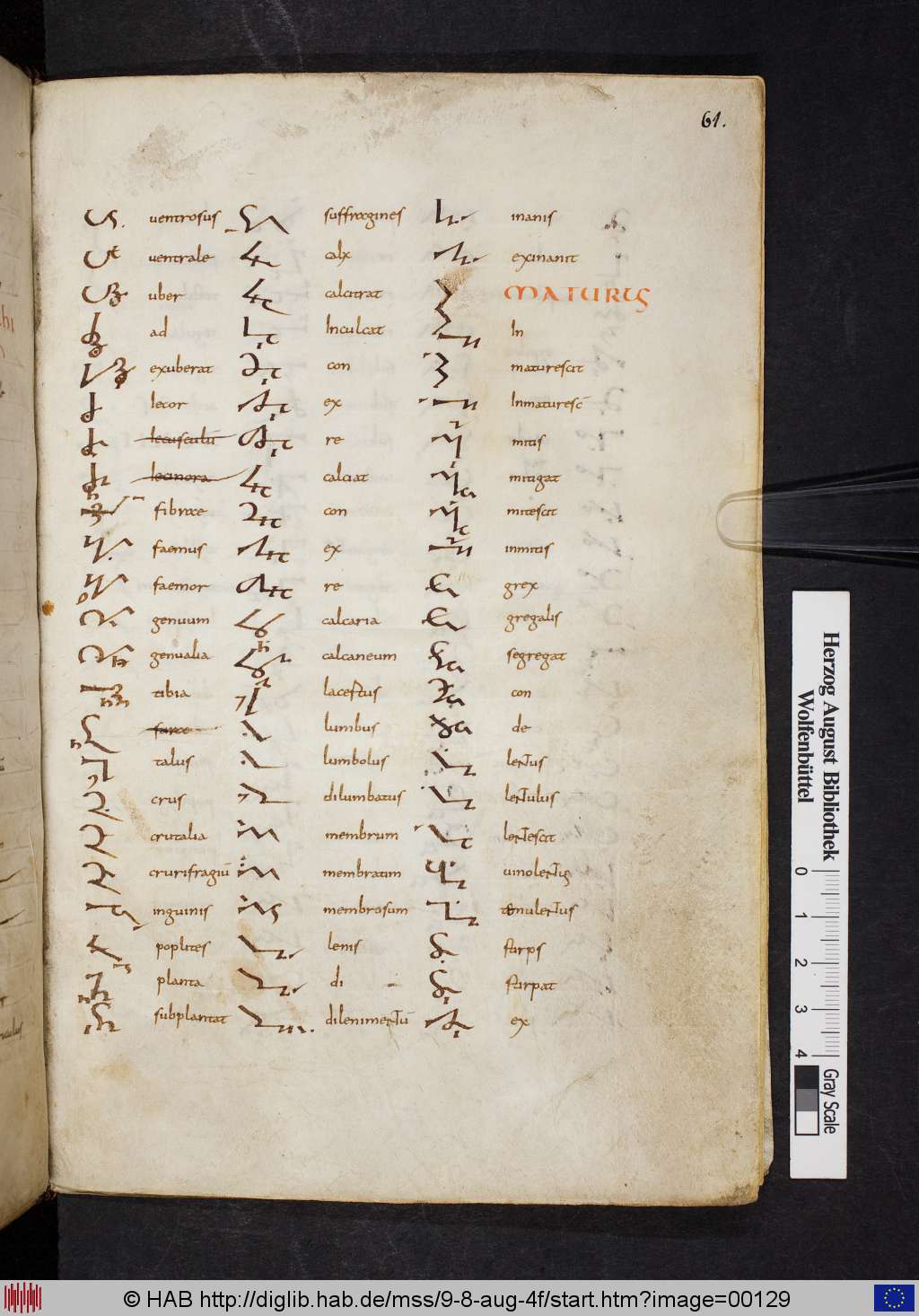 http://diglib.hab.de/mss/9-8-aug-4f/00129.jpg