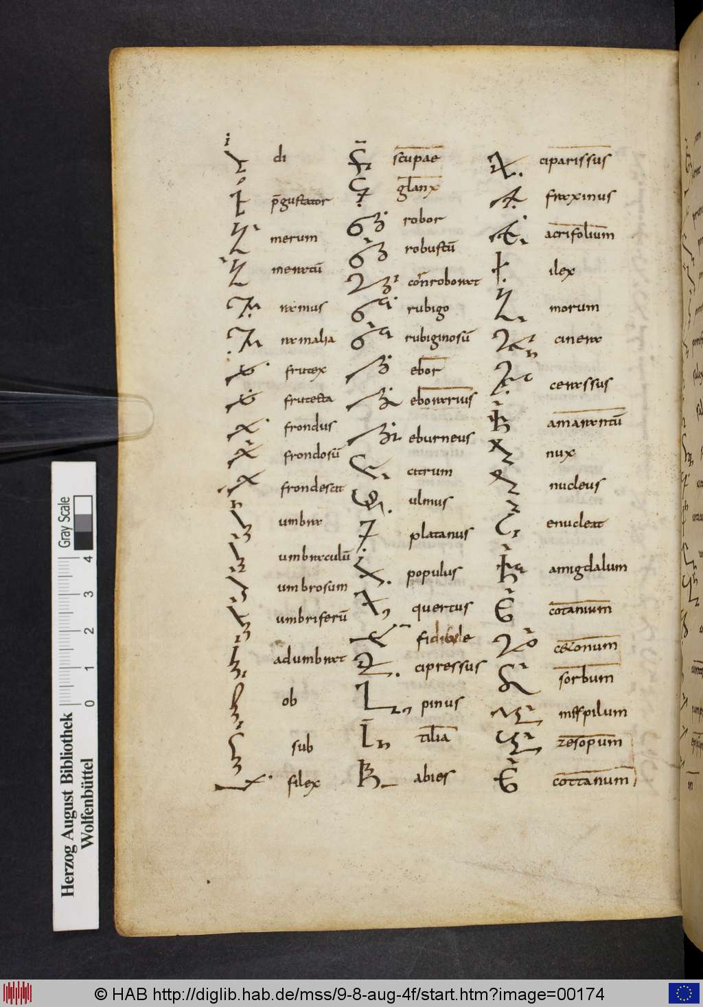 http://diglib.hab.de/mss/9-8-aug-4f/00174.jpg