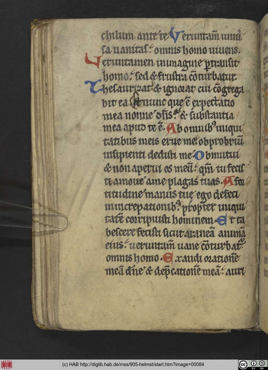 http://diglib.hab.de/mss/905-helmst/00084.jpg